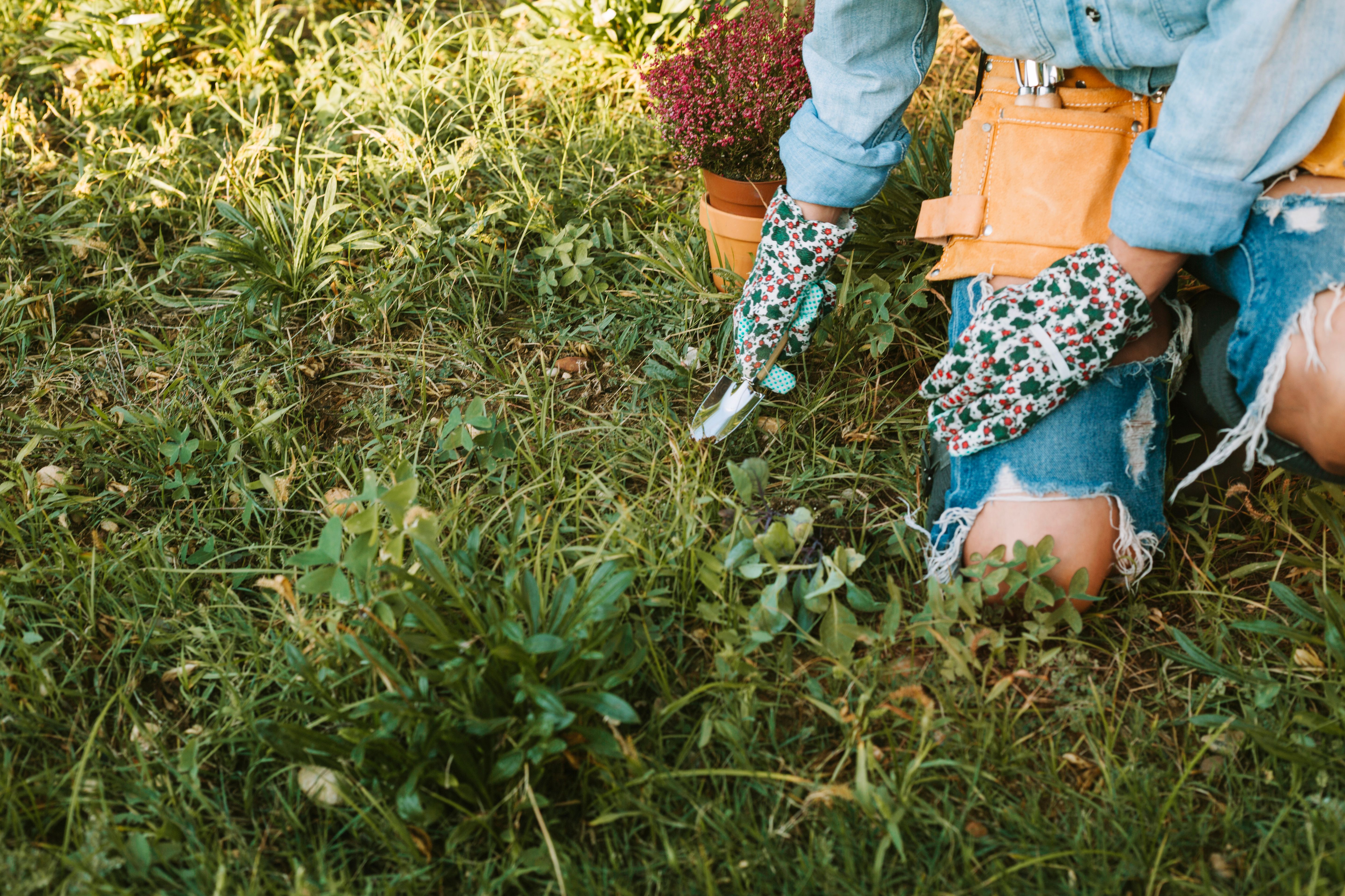 Сода допомагає боротися з бур'янами