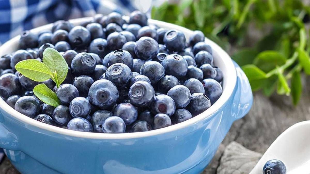 Чорничний краще не поєднувати з яскравими відтінками зеленого, помаранчевого і червоного Чорничний краще не поєднувати з яскравими відтінками зеленого, помаранчевого і червоного