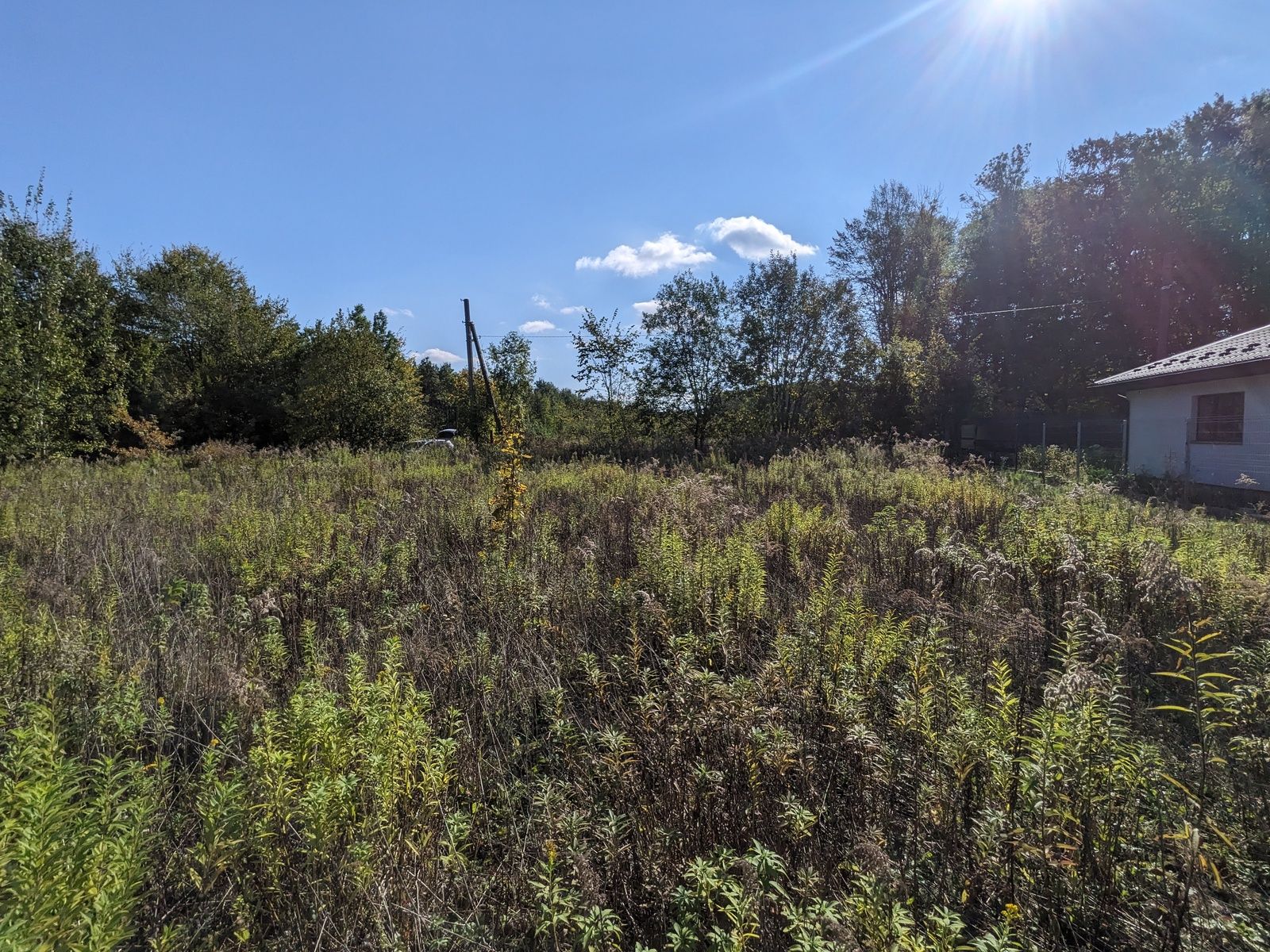 Что можно строить на участке Что можно строить на участке