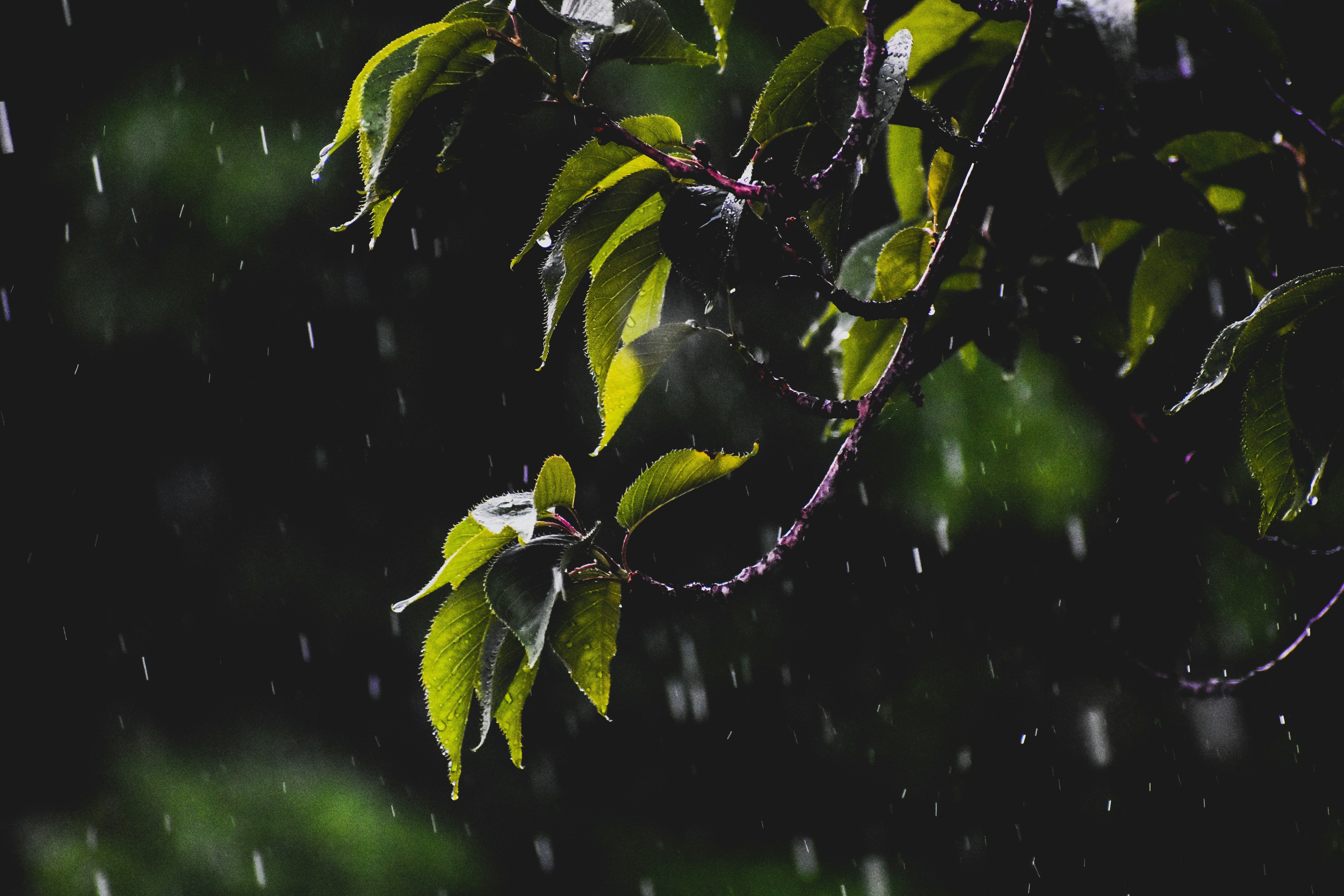 Прогноз погоди в Україні на 24 квітня Прогноз погоди в Україні на 24 квітня