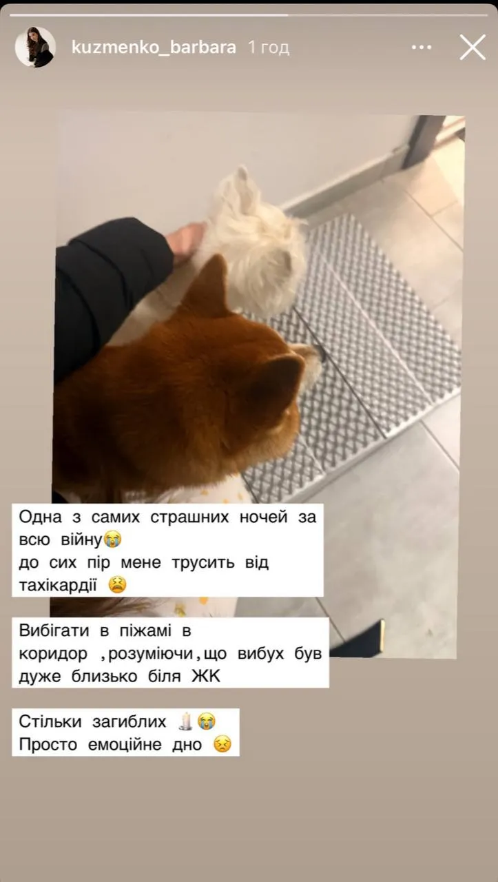 Барбара Кузьменко відреагувала на ракетний обстріл столиці Барбара Кузьменко відреагувала на ракетний обстріл столиці