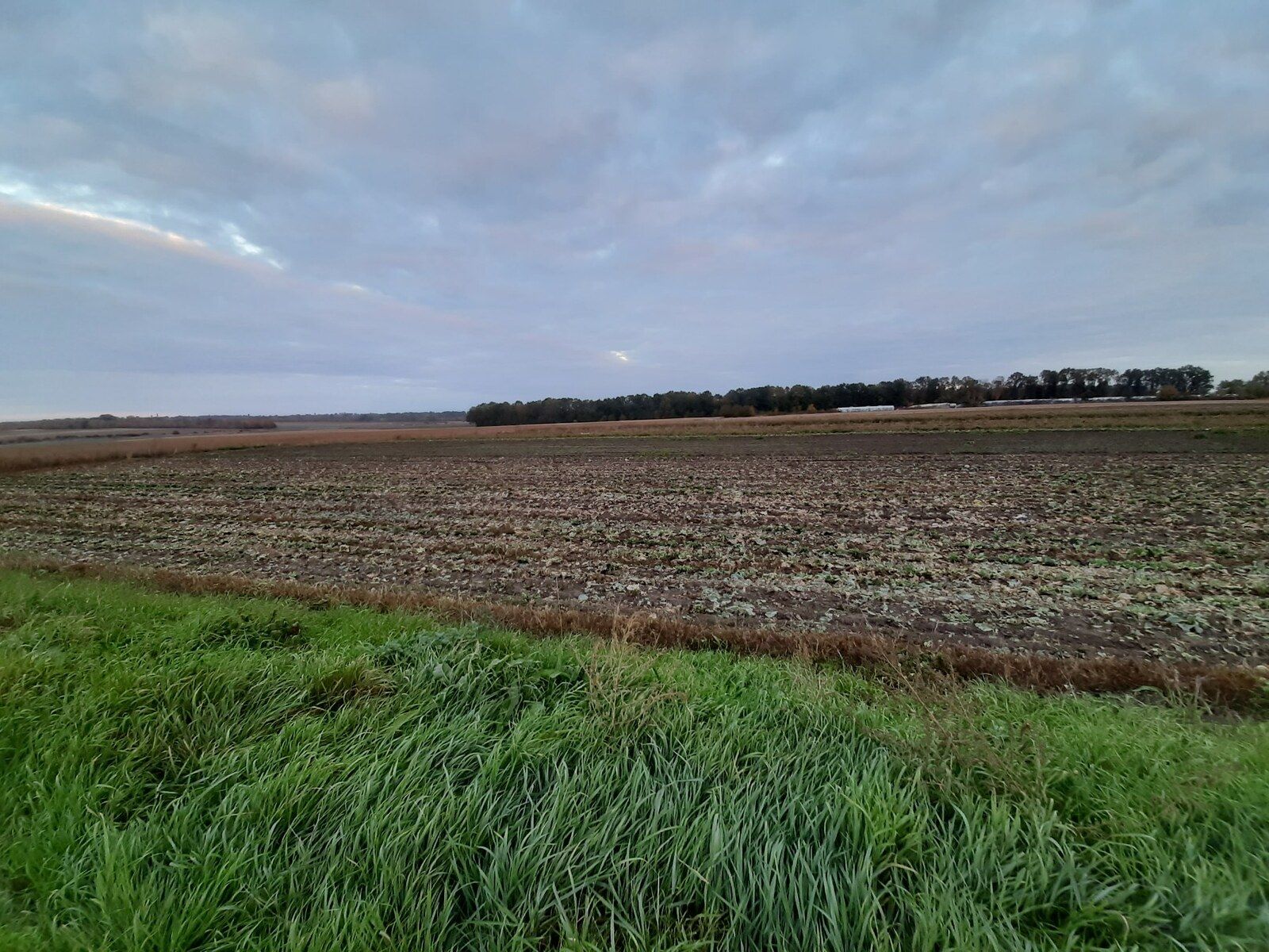 Почему надо оформить землю Почему надо оформить землю