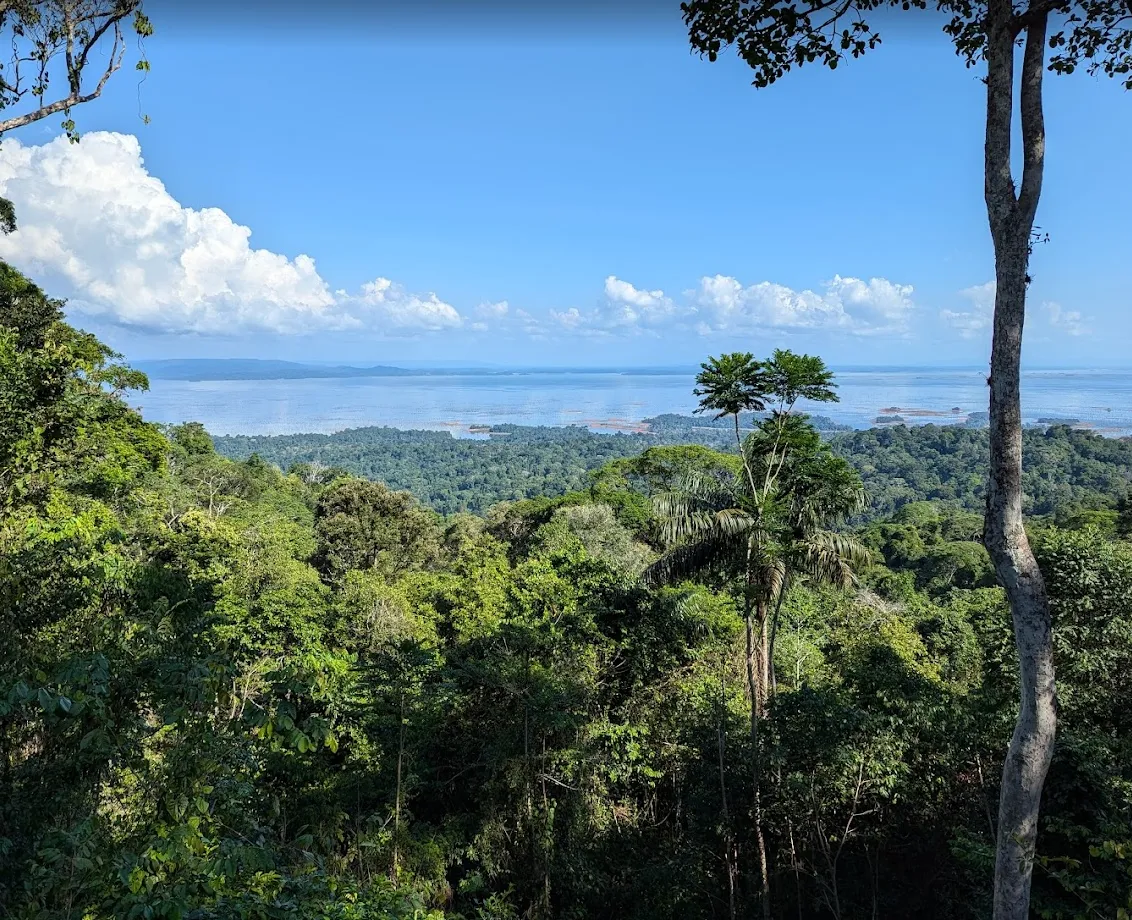 Суринам Суринам