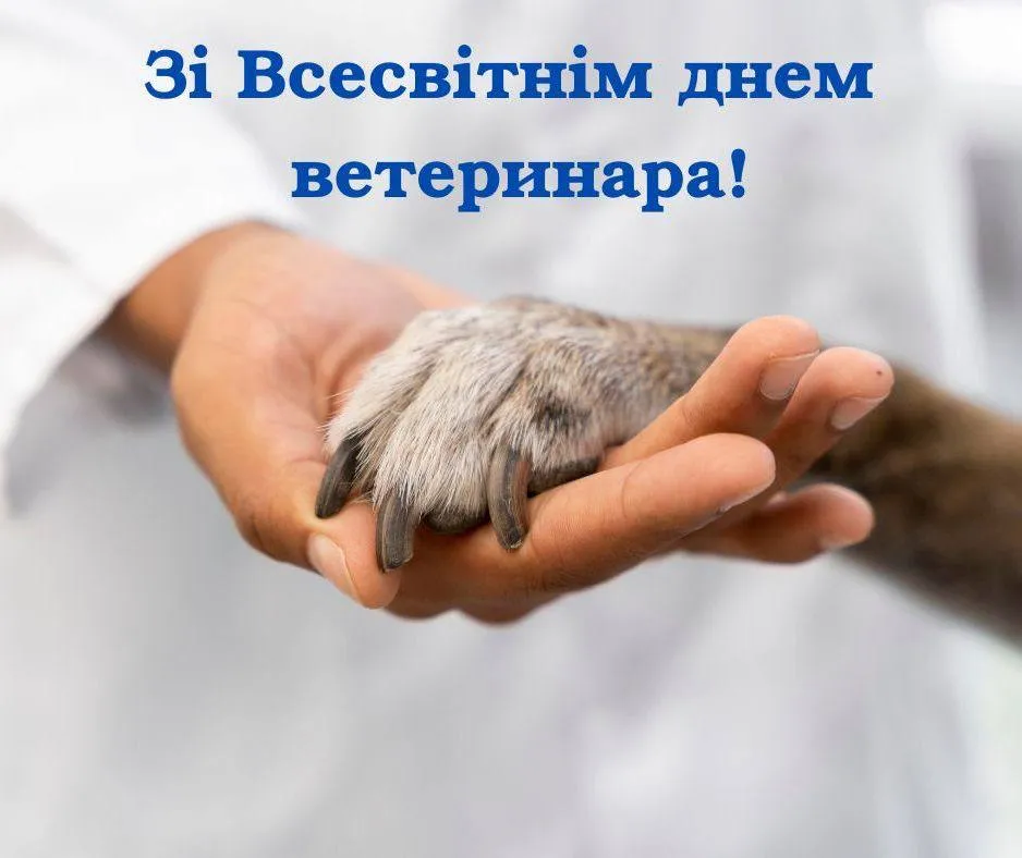 Поздравление со Всемирным днем ветеринара 2025 Поздравление со Всемирным днем ветеринара 2025