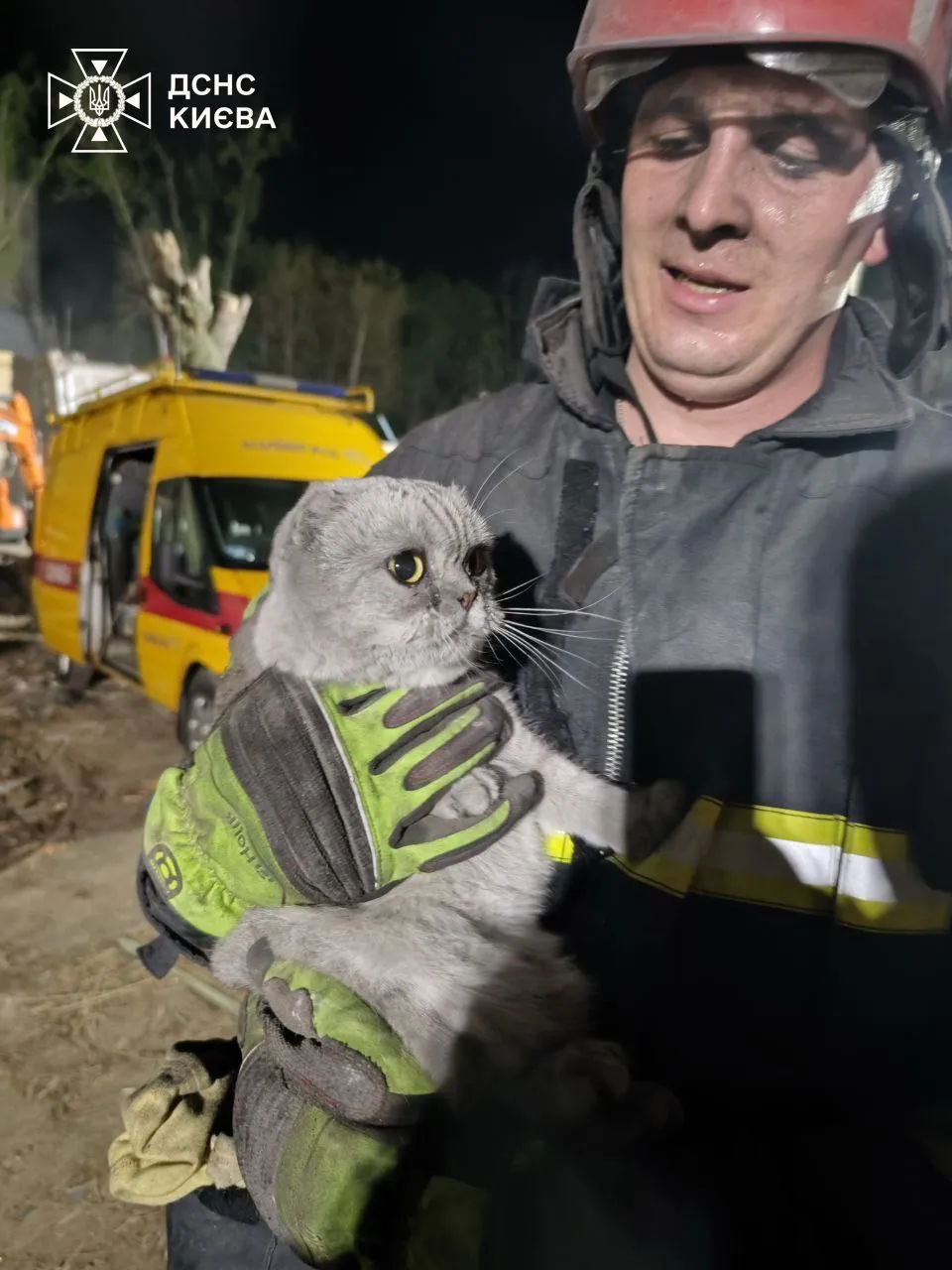 Чрезвычайники спасли котиков в Киеве под завалами Чрезвычайники спасли котиков в Киеве под завалами