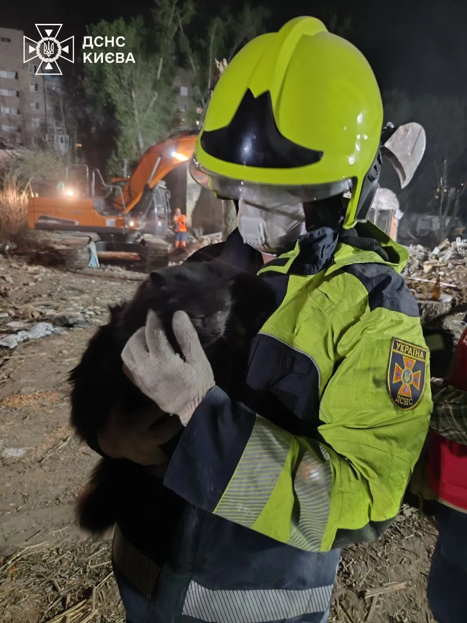 Котики 20 часов ждали спасения Котики 20 часов ждали спасения