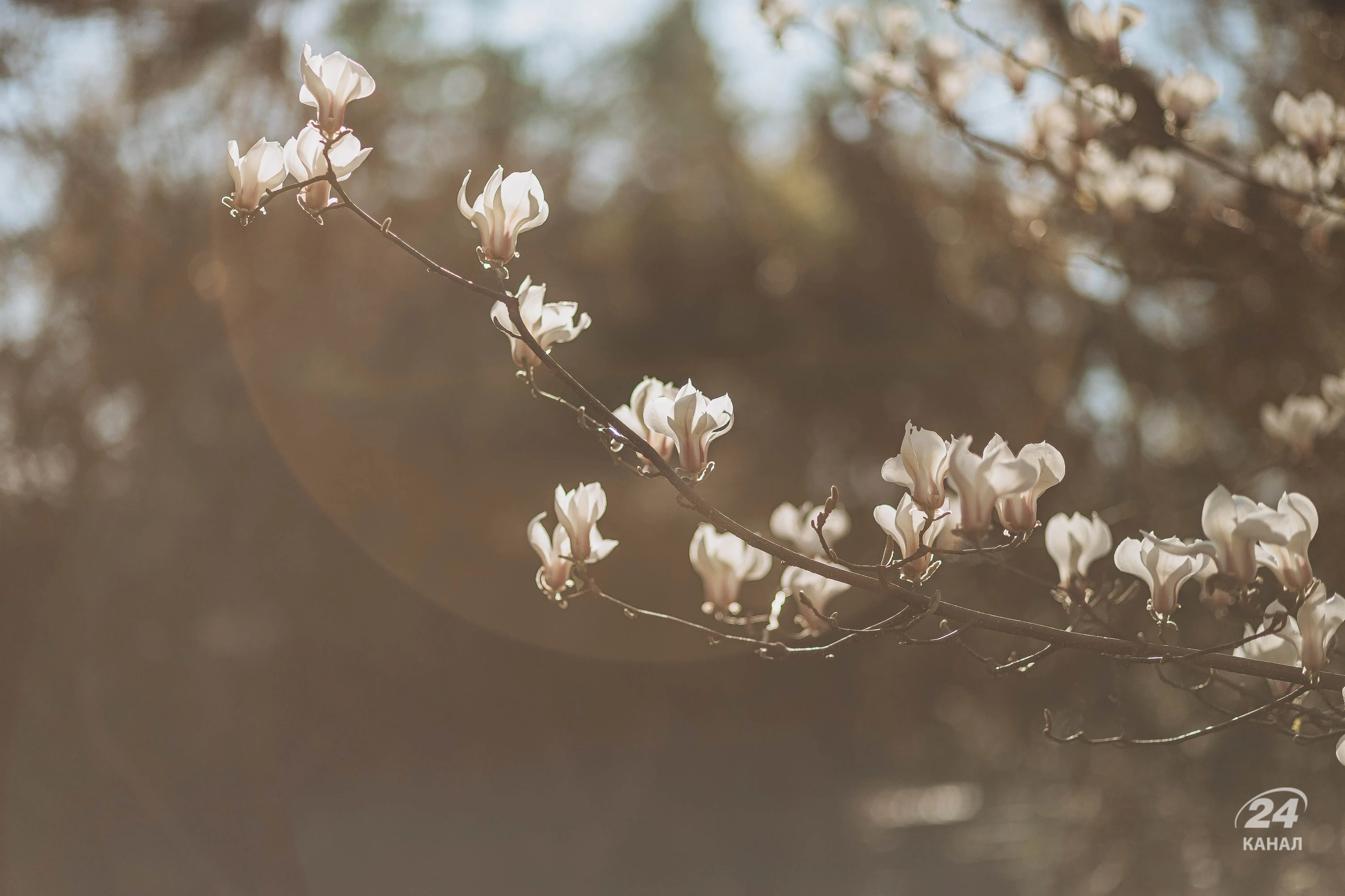 Весна в Україні Весна в Україні