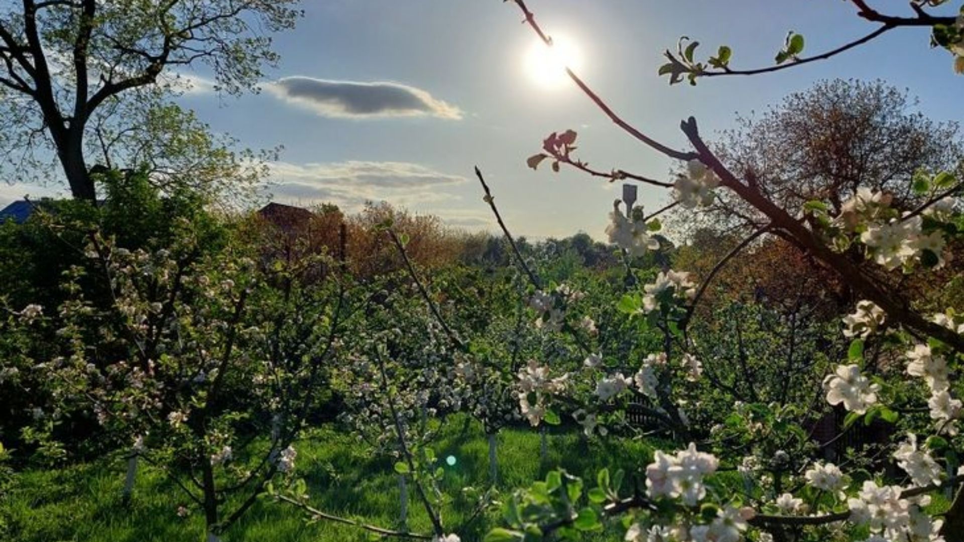 Прогноз погоди в Україні на 28 квітня - 24 Канал Прогноз погоди в Україні на 28 квітня - 24 Канал