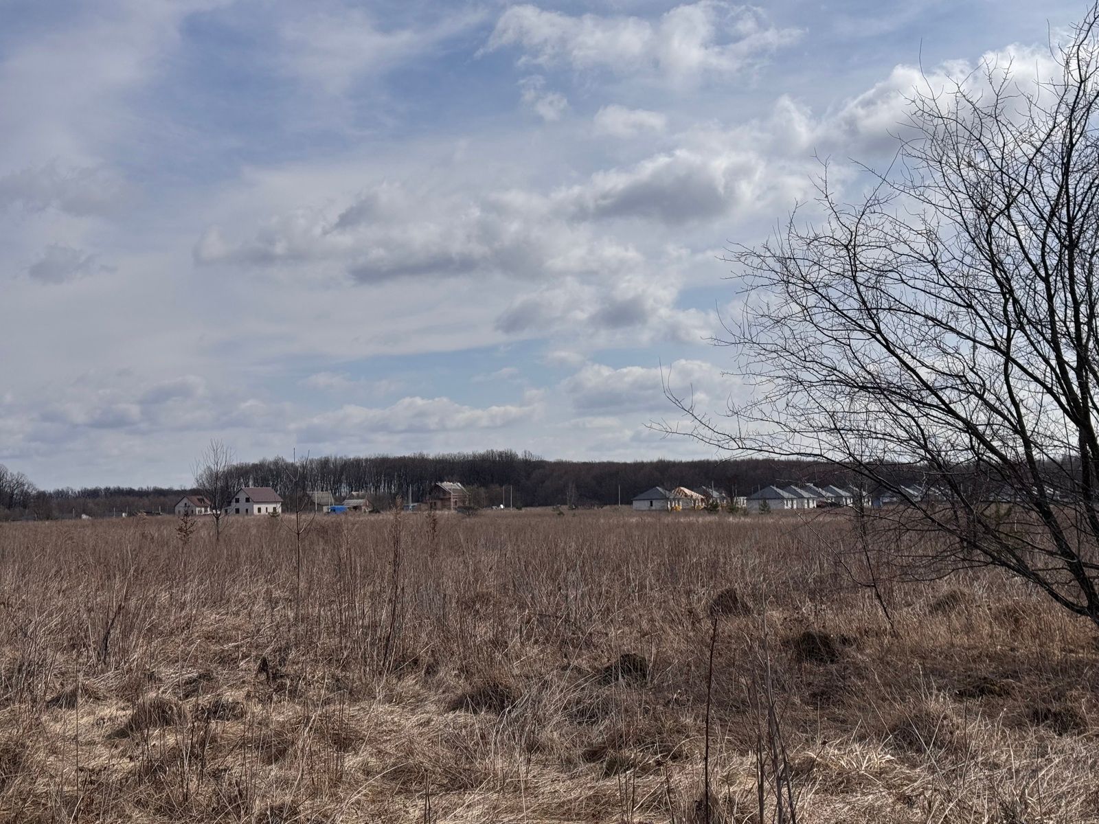 Изменилась ли цена на землю