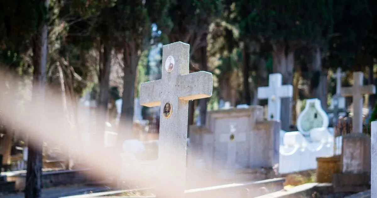 Радоница Радоница