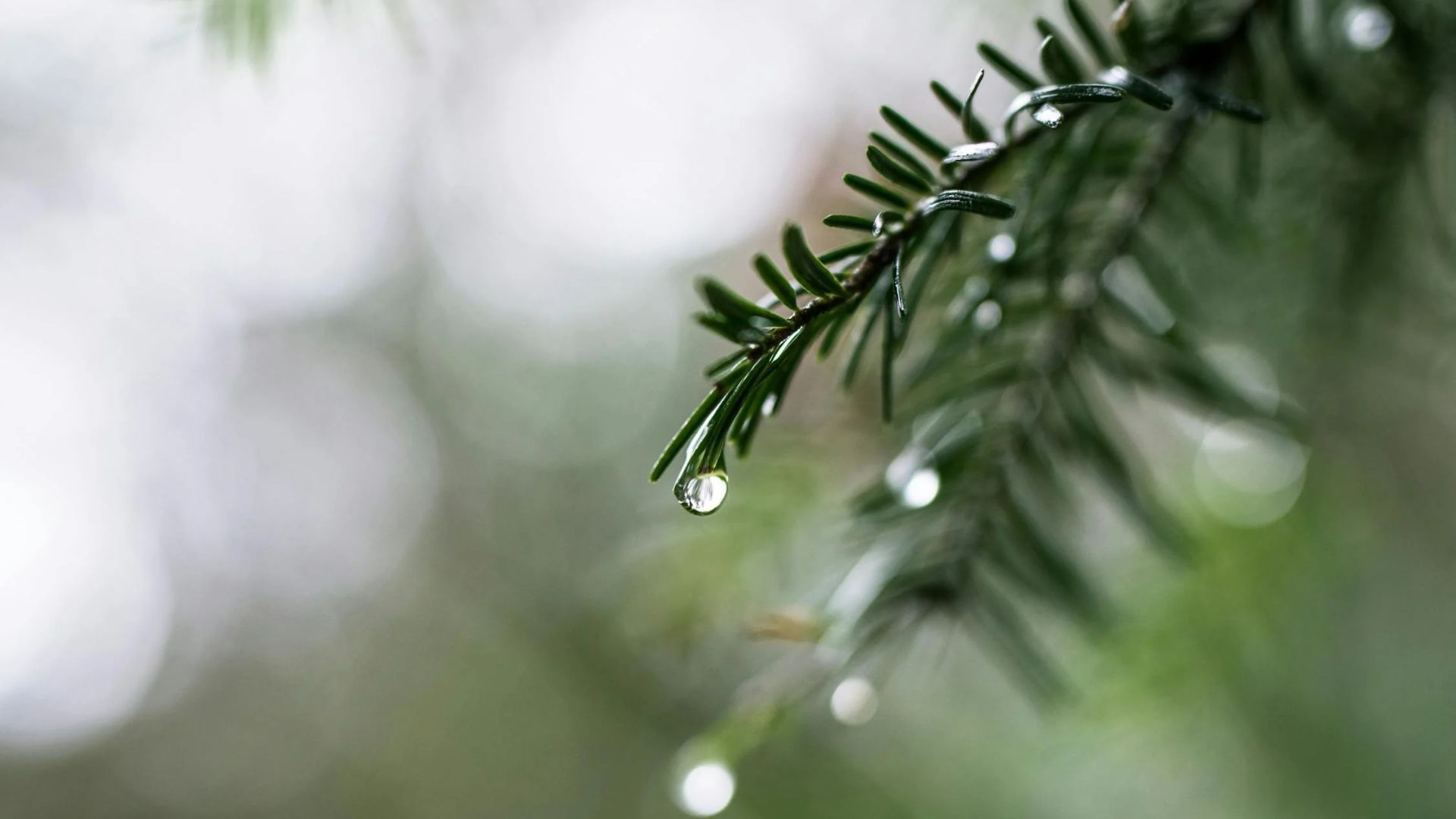 Погода на 1 травня