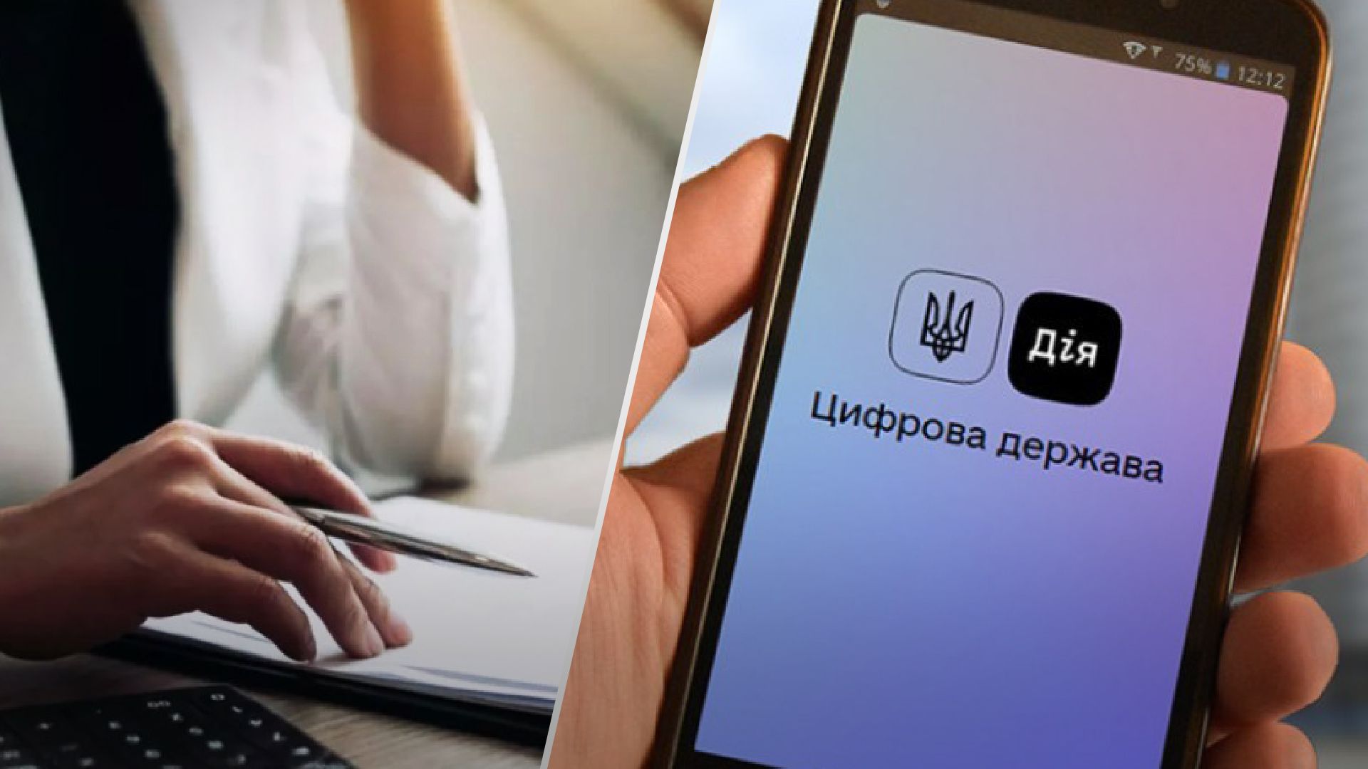 Декларация для ФЛП в Дие Декларация для ФЛП в Дие