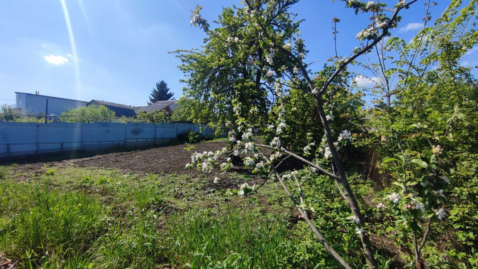 Садик на сельхозземле Садик на сельхозземле