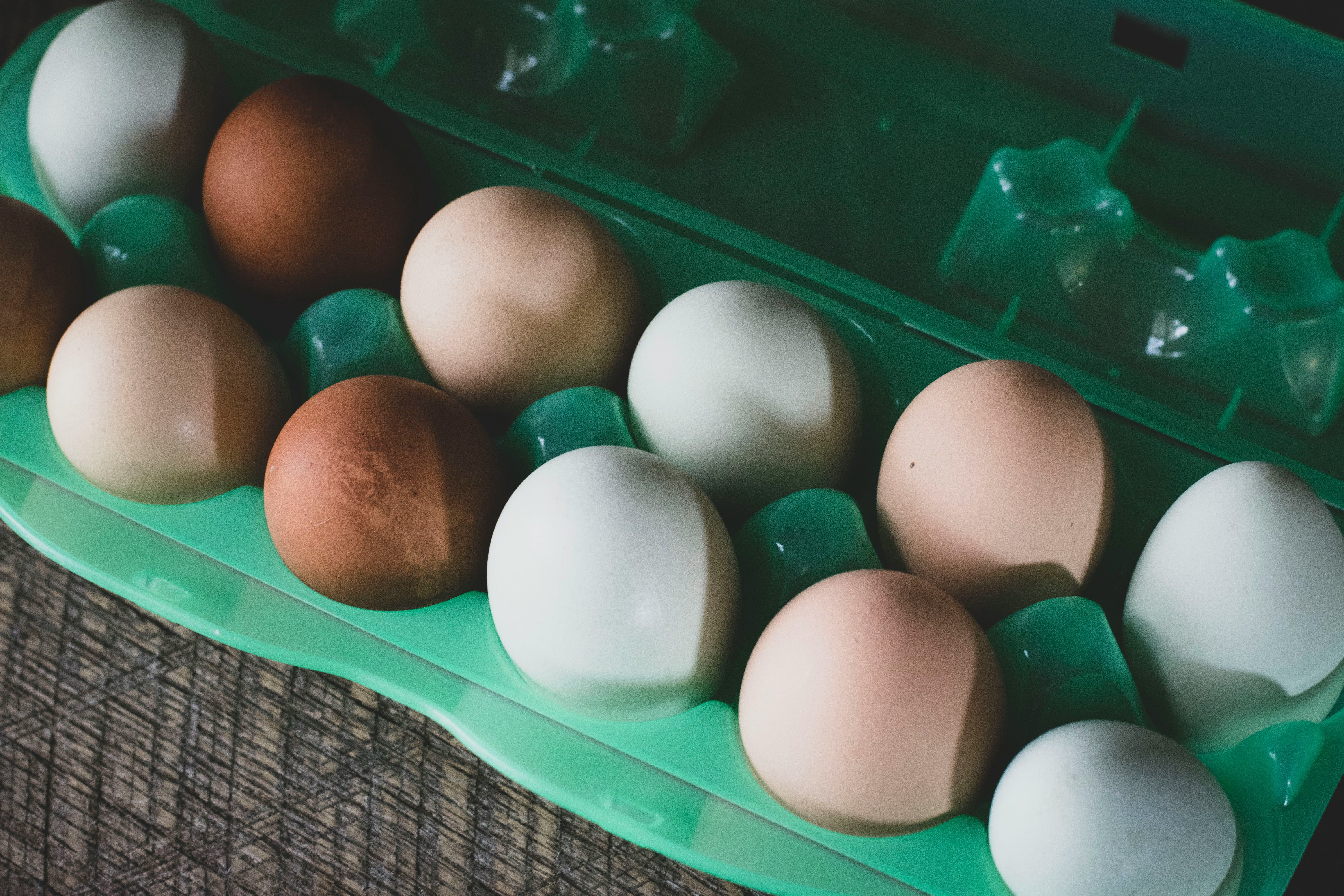 Відмінності між яйцями з темною і білою шкаралупою Відмінності між яйцями з темною і білою шкаралупою