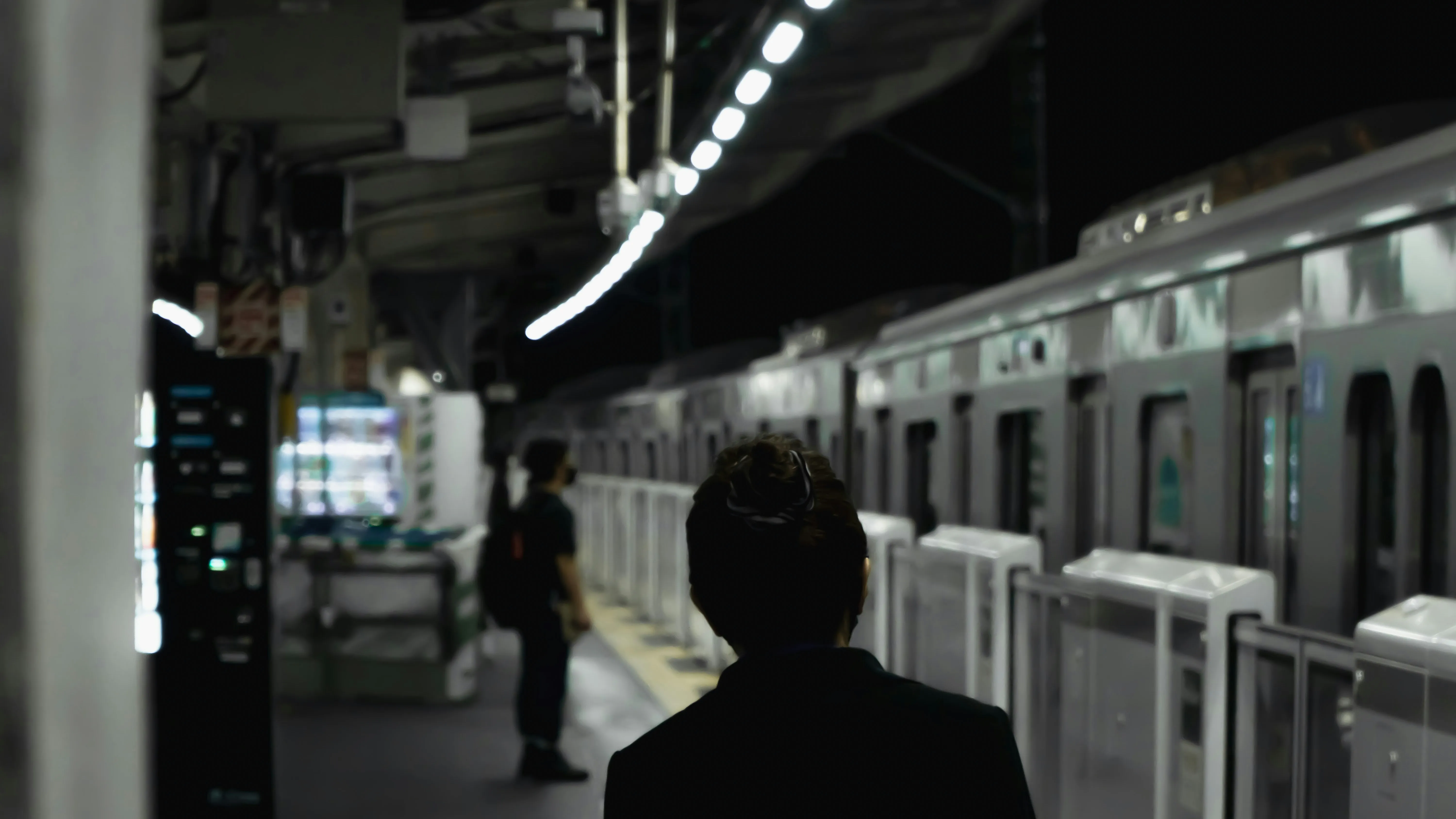 Змея вызвала массовые задержки поездов Змея вызвала массовые задержки поездов