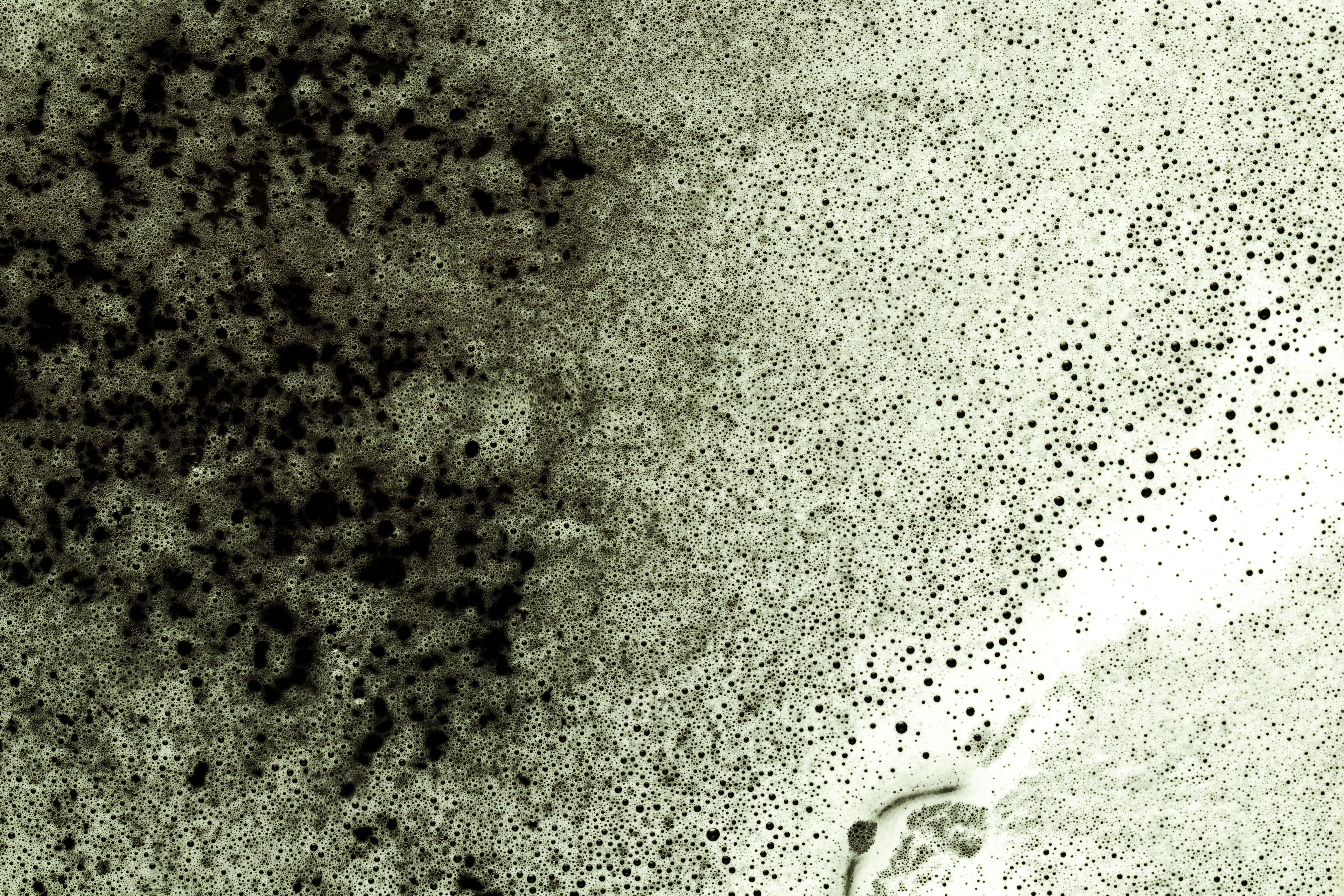 Как избавиться от плесени Как избавиться от плесени