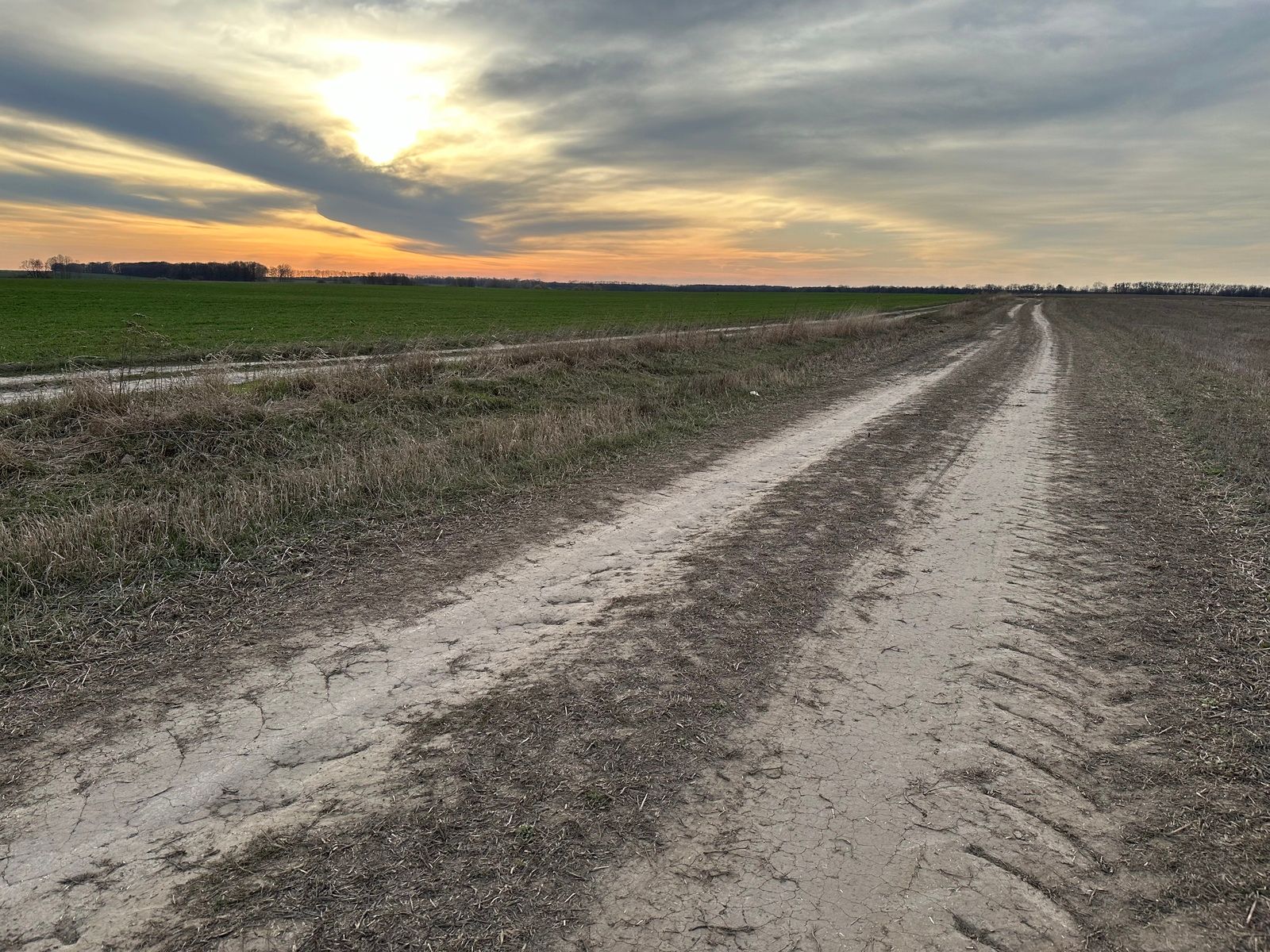 Як орендувати землю в ОТГ Як орендувати землю в ОТГ