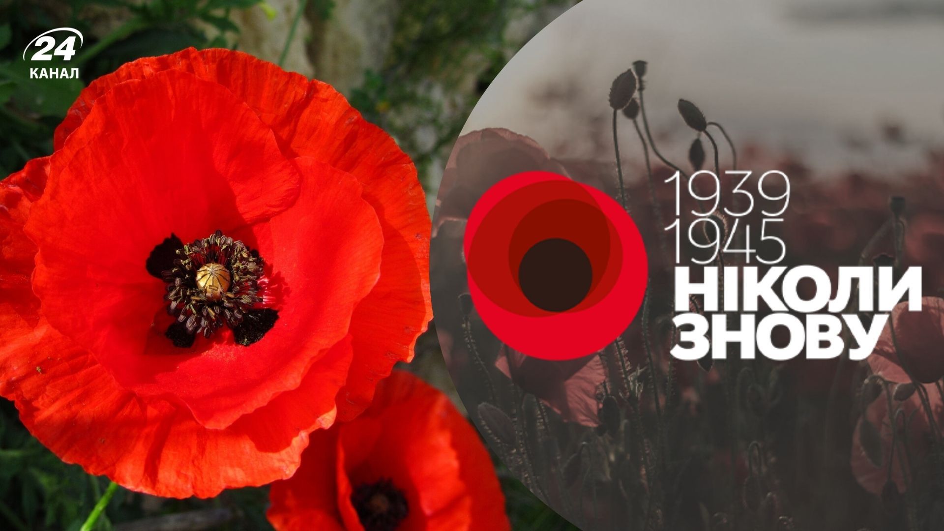 День пам'яті й примирення 2025 День пам'яті й примирення 2025