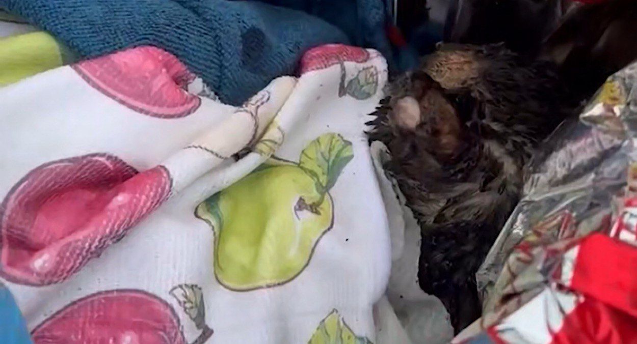 Россияне атаковали Киев Россияне атаковали Киев