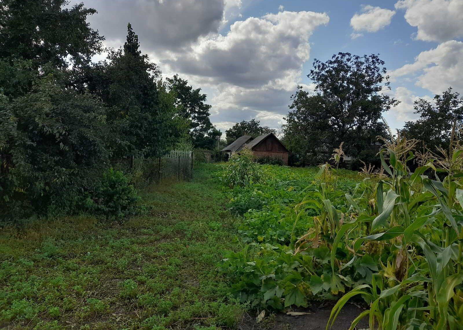 Сколько должно быть от дерева до забора Сколько должно быть от дерева до забора