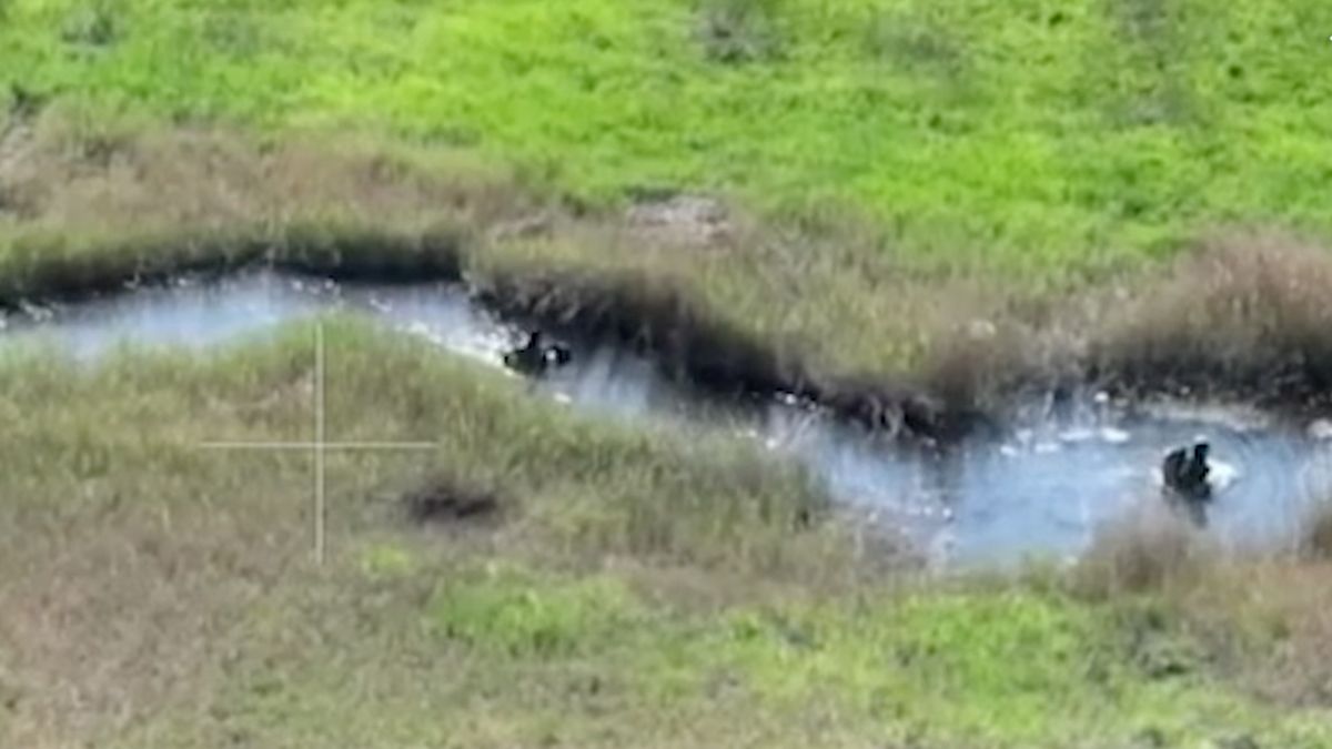 Как нацгвардейцы остановили "плавучее" наступление оккупантов Как нацгвардейцы остановили "плавучее" наступление оккупантов