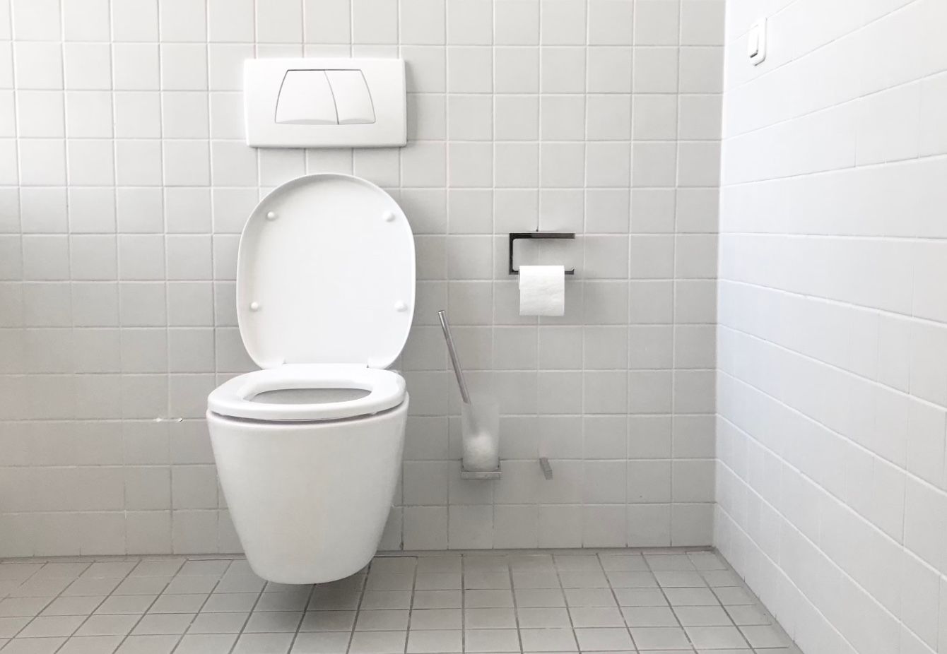 В Швейцарии нельзя смывать унитаз после 22:00 В Швейцарии нельзя смывать унитаз после 22:00