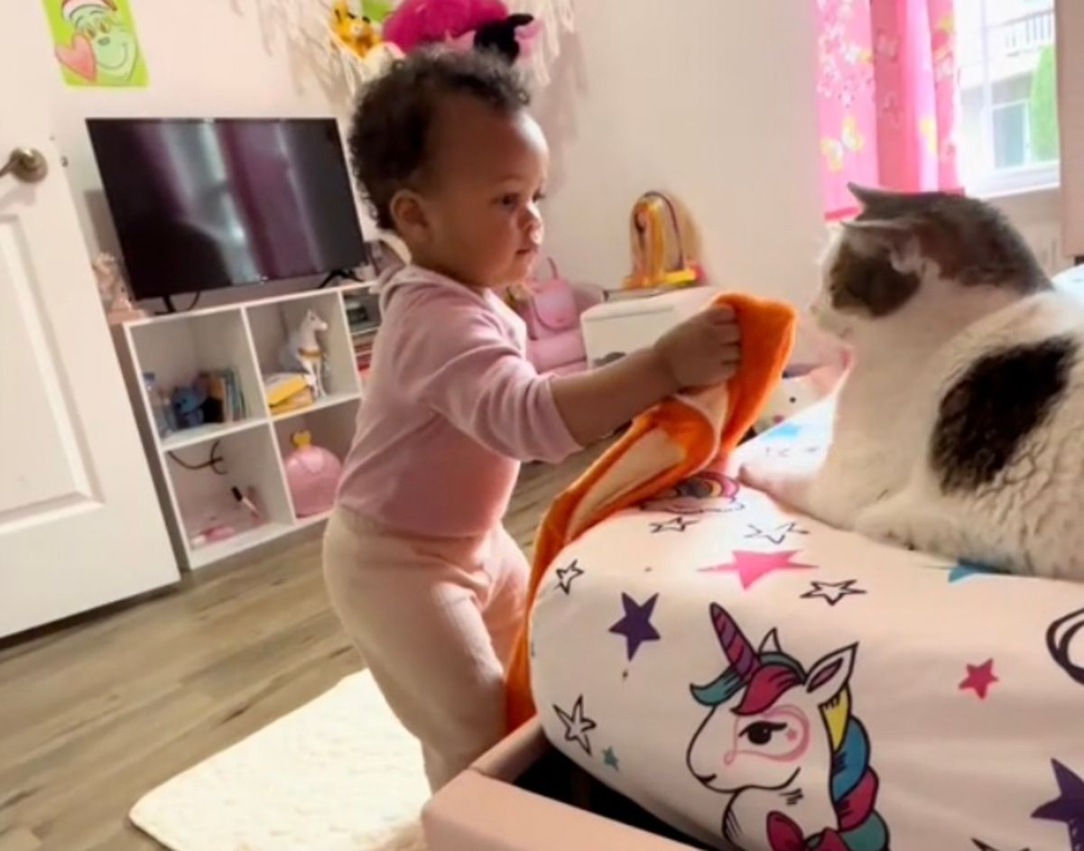 Дівчинка погано розмовляє англійською, але легко нявчить з котом Дівчинка погано розмовляє англійською, але легко нявчить з котом