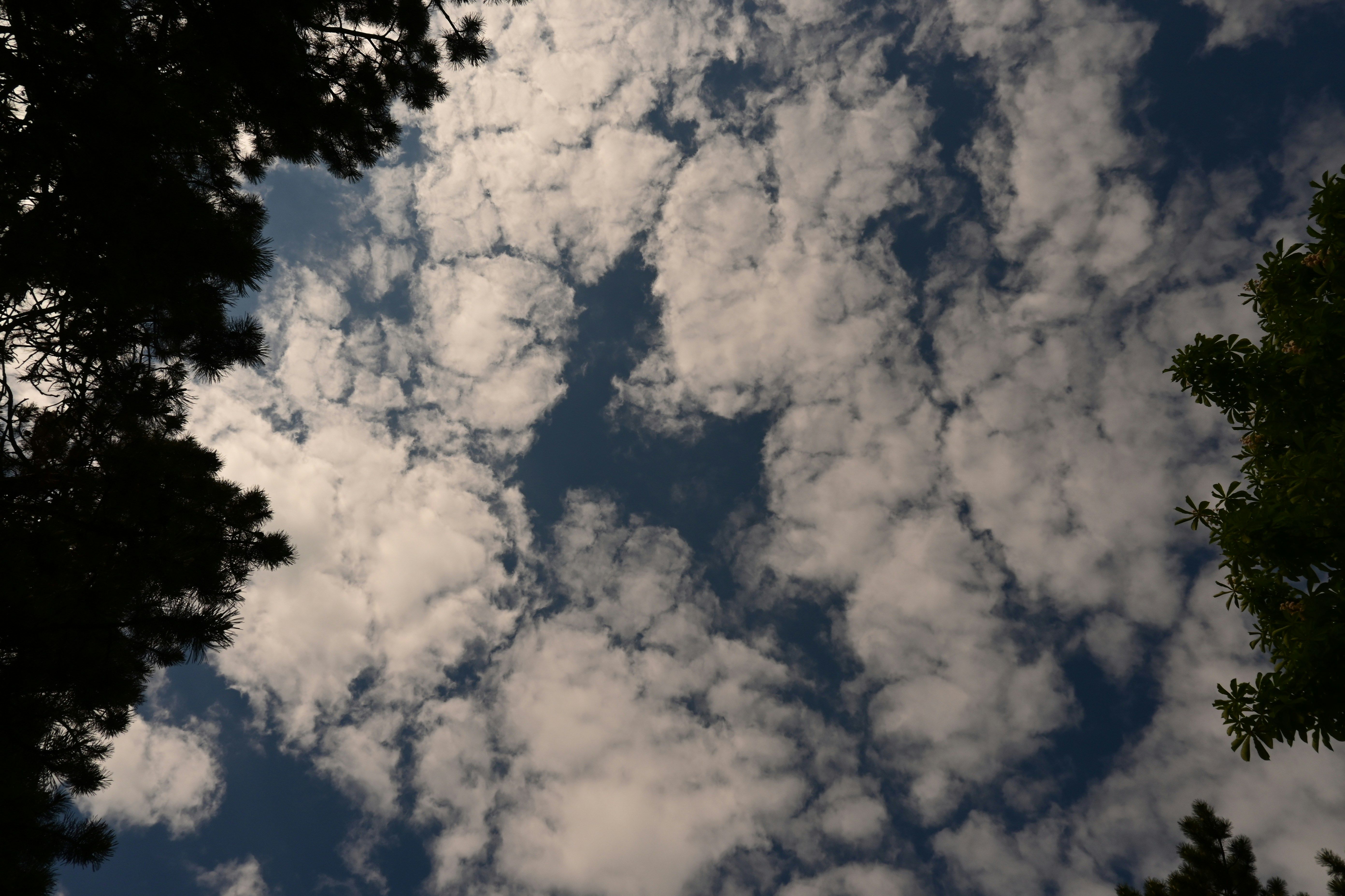 Погода на выходных 10 - 11 мая Погода на выходных 10 - 11 мая