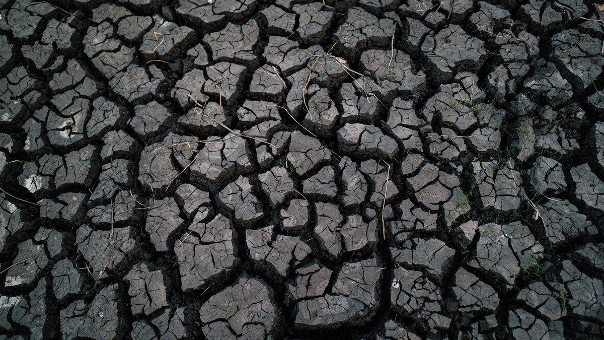 Самые богатые люди мира вызвали две трети глобального потепления с 1990 года