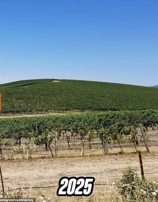 Пейзажи Bliss сегодня Пейзажи Bliss сегодня