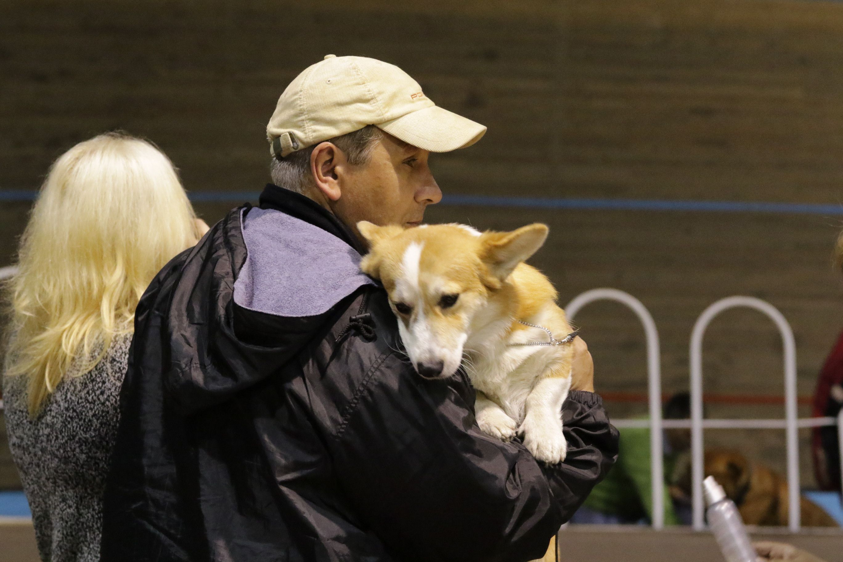 В ЦНАПах Киева будут регистрировать животных В ЦНАПах Киева будут регистрировать животных