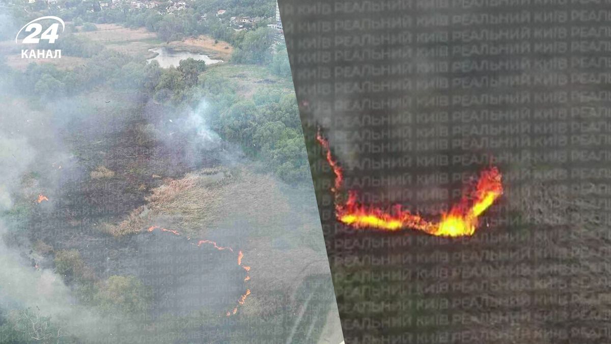 Пожар на Совских прудах в Киеве Пожар на Совских прудах в Киеве