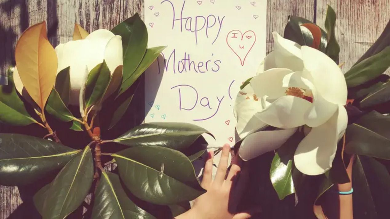 Вкусные блюда ко Дню матери Вкусные блюда ко Дню матери