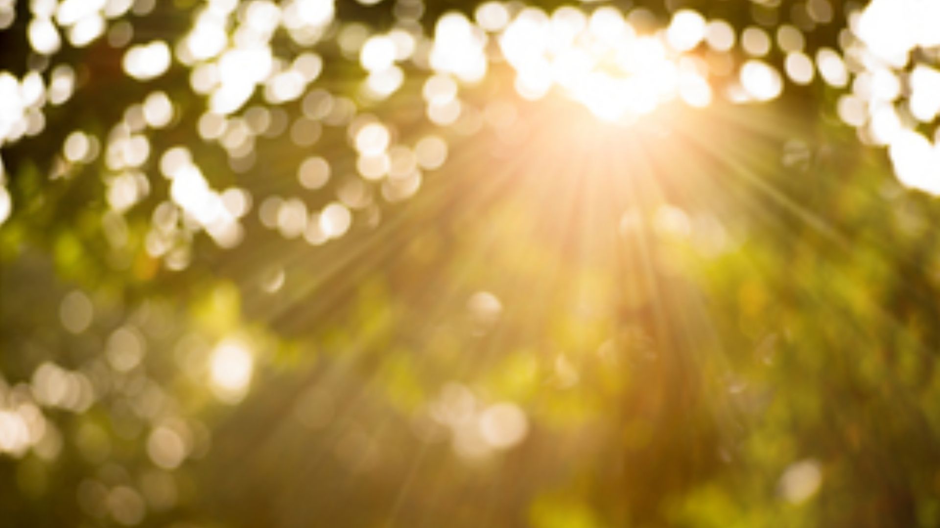 В Украину снова возвращается весеннее тепло В Украину снова возвращается весеннее тепло