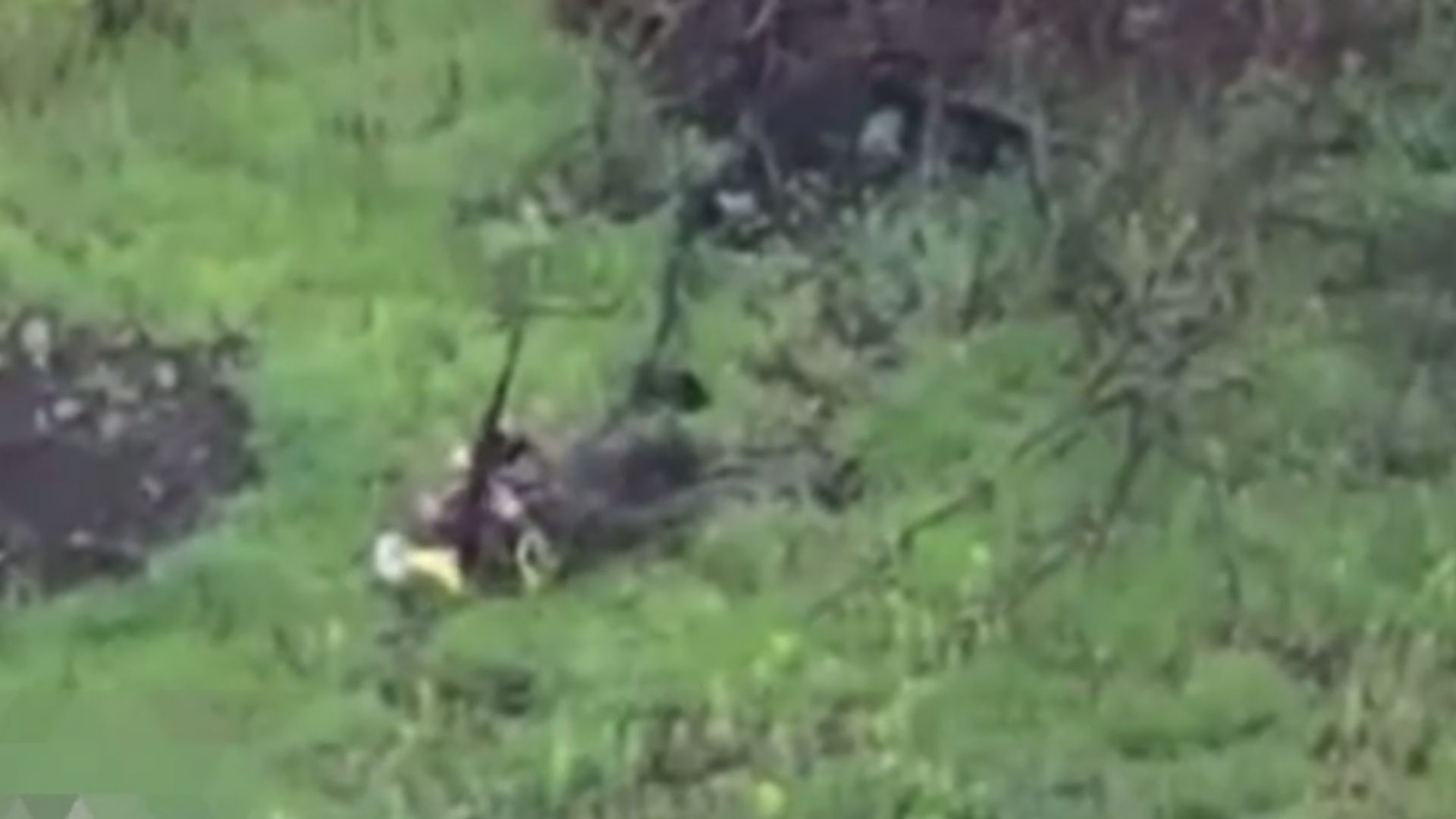 Во время "перемирия" россияне пытались подойти к позициям ВСУ, маскируясь под "своих"