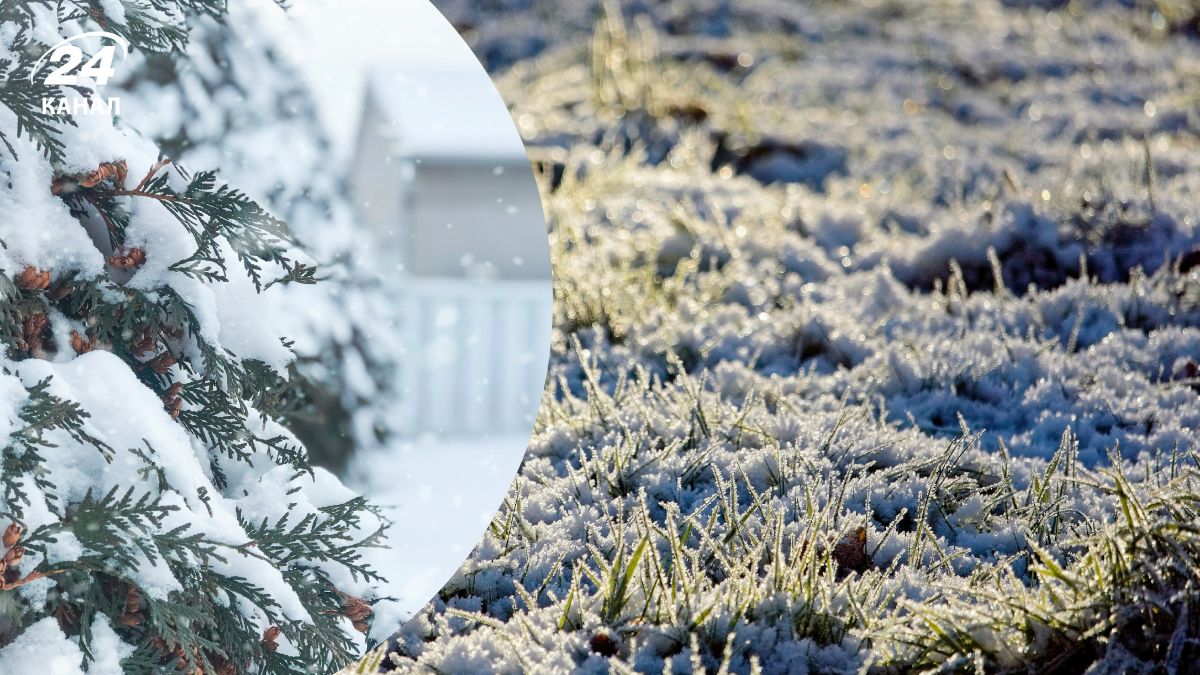 Заморозки і сніг Заморозки і сніг