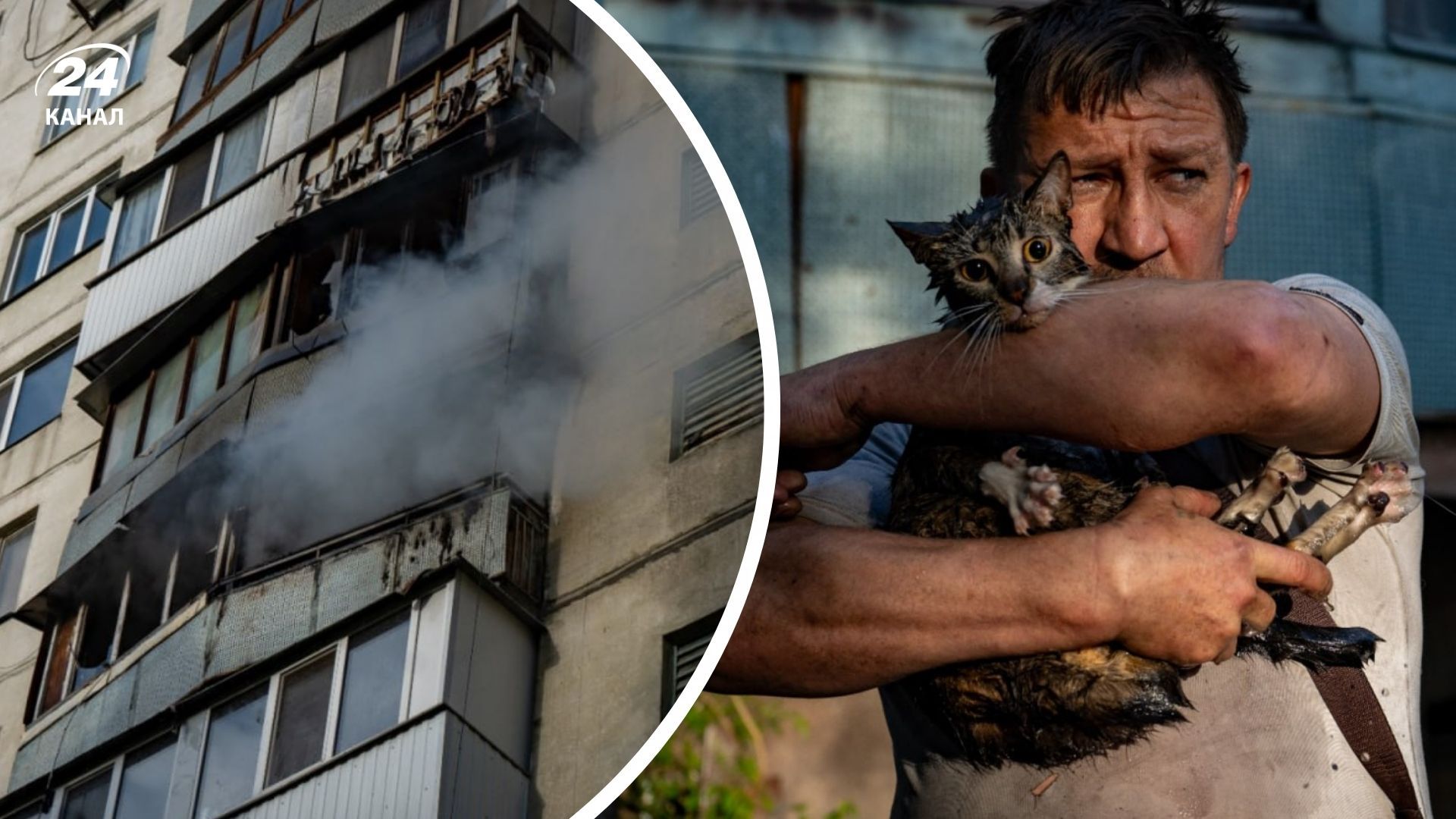 У Києві з пожежі врятували кота та собаку У Києві з пожежі врятували кота та собаку