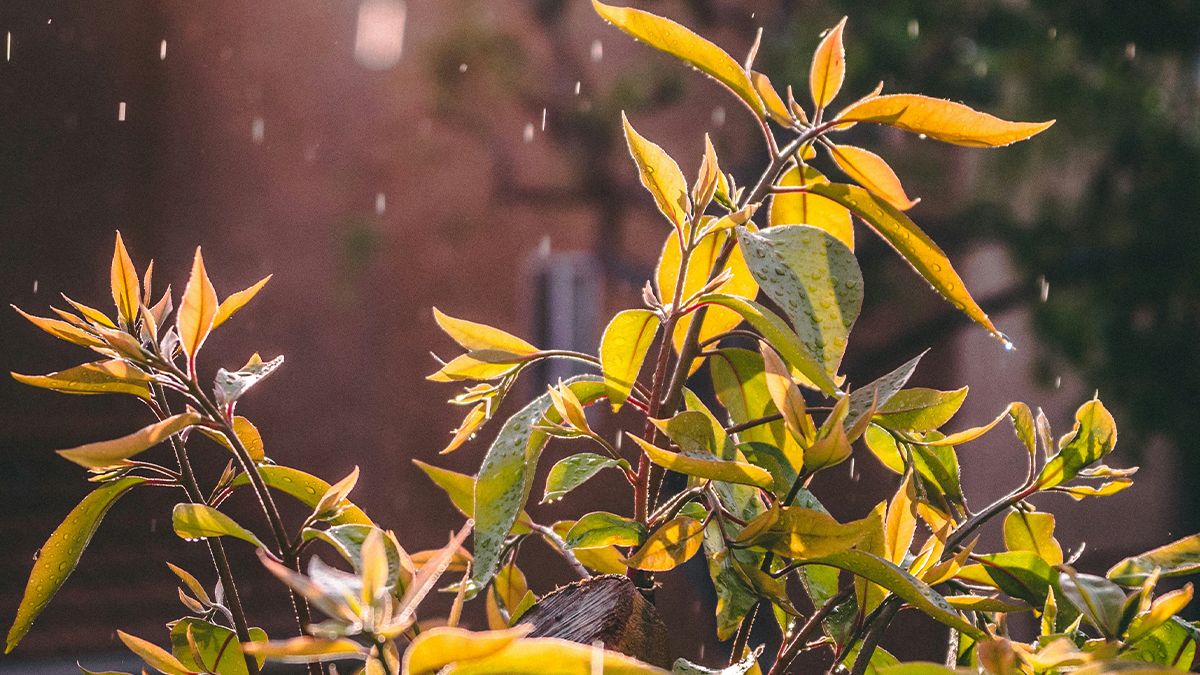 Погода в Украине 13 мая