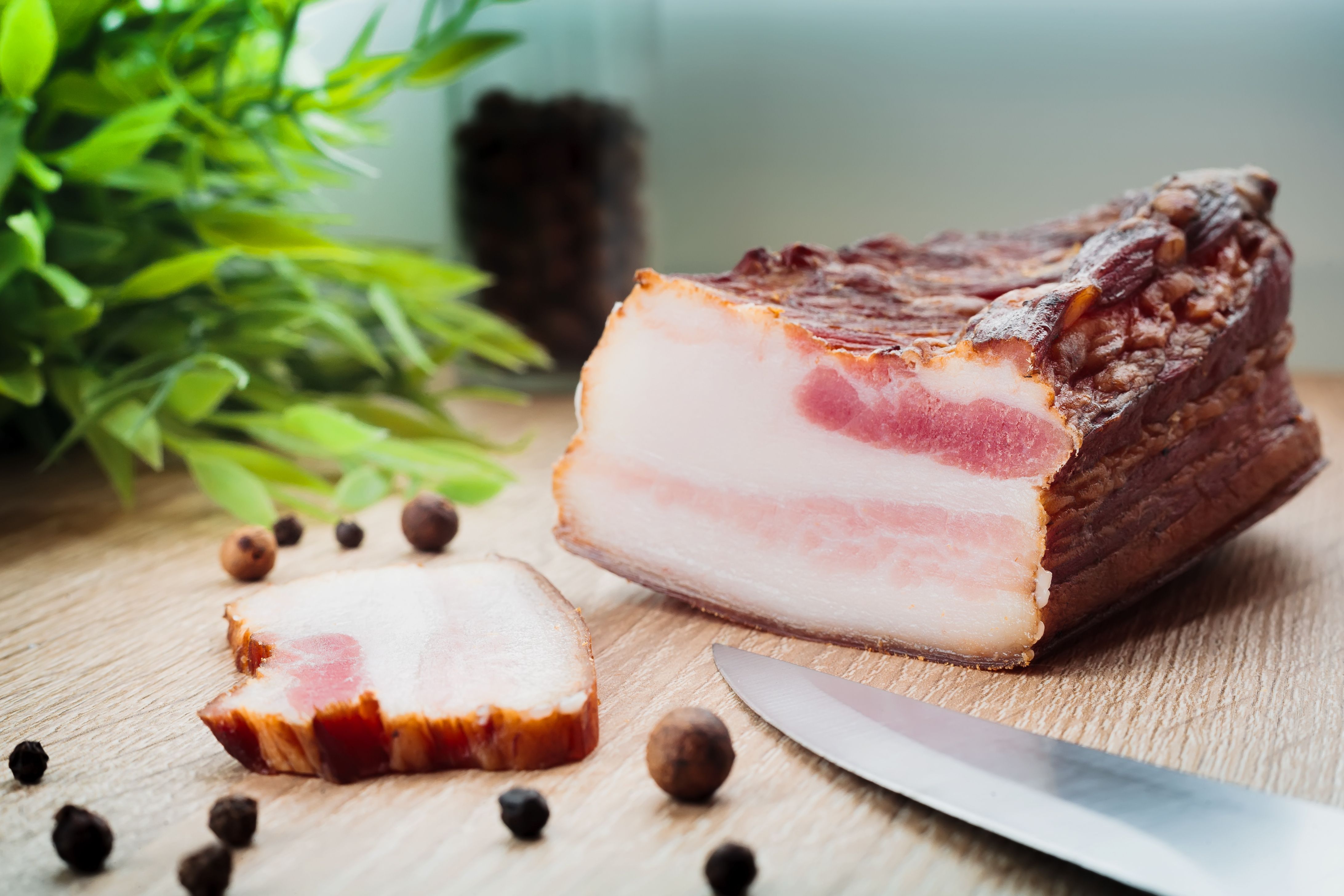 Сало бьет рекорды Сало бьет рекорды