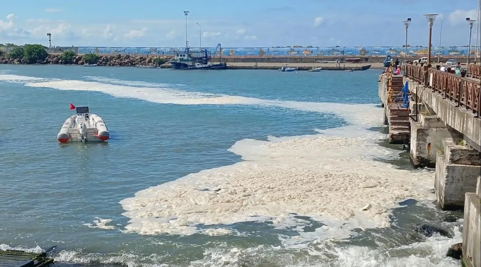 Морський слиз