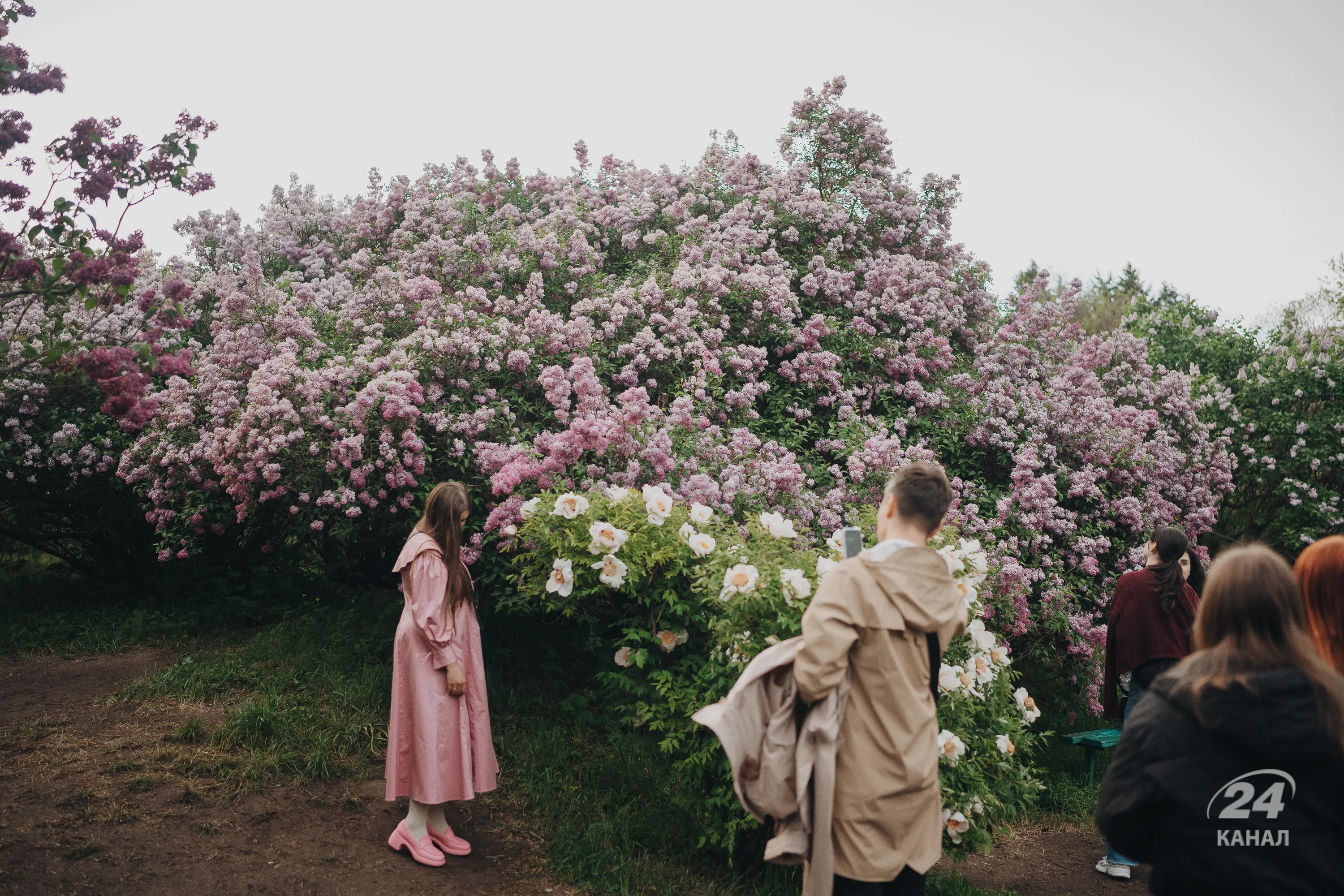 Погода в Киеве