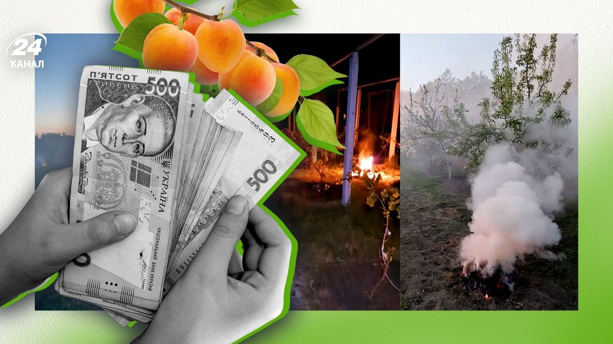 Что будет с фруктовой отраслью из-за морозов Что будет с фруктовой отраслью из-за морозов