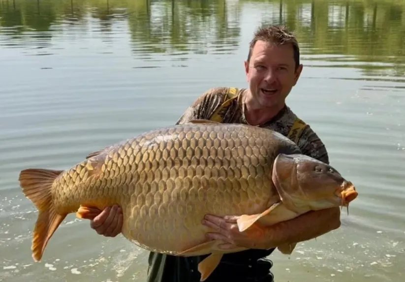 Девід Нок спіймав рекордного коропа Девід Нок спіймав рекордного коропа