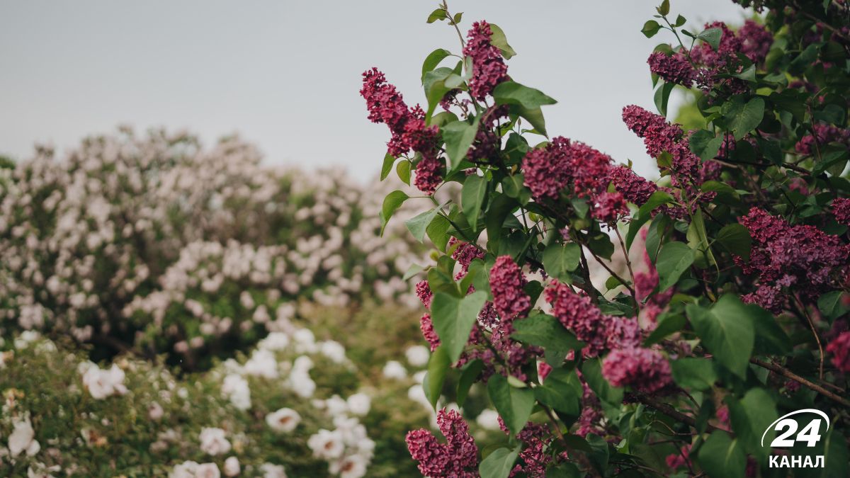 Потепление в Украине Потепление в Украине