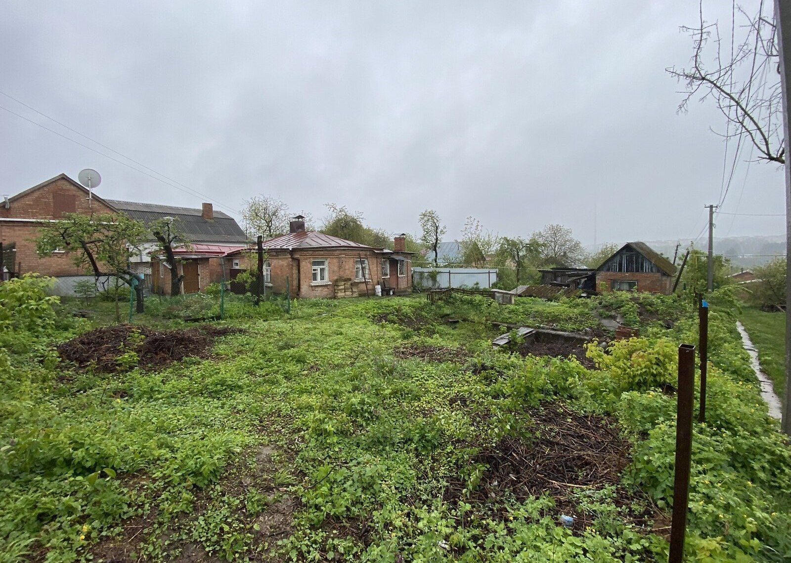 Можно ли срезать ветки соседа Можно ли срезать ветки соседа