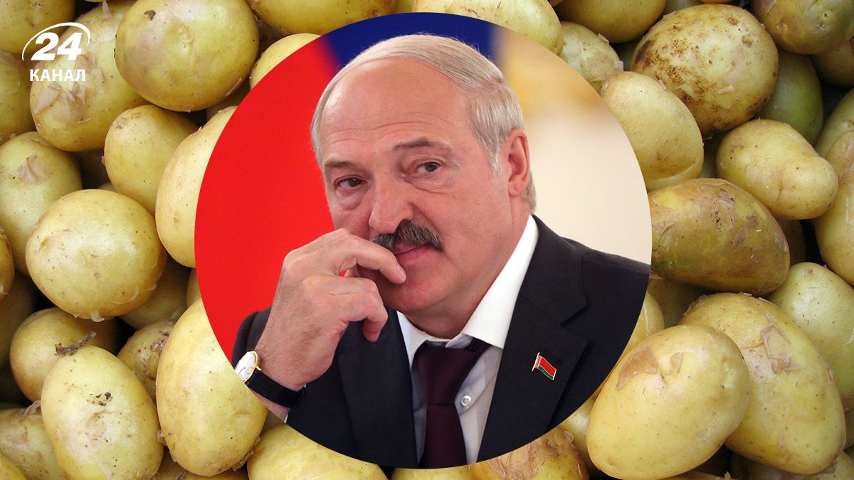 У Білорусі дефіцит картоплі У Білорусі дефіцит картоплі