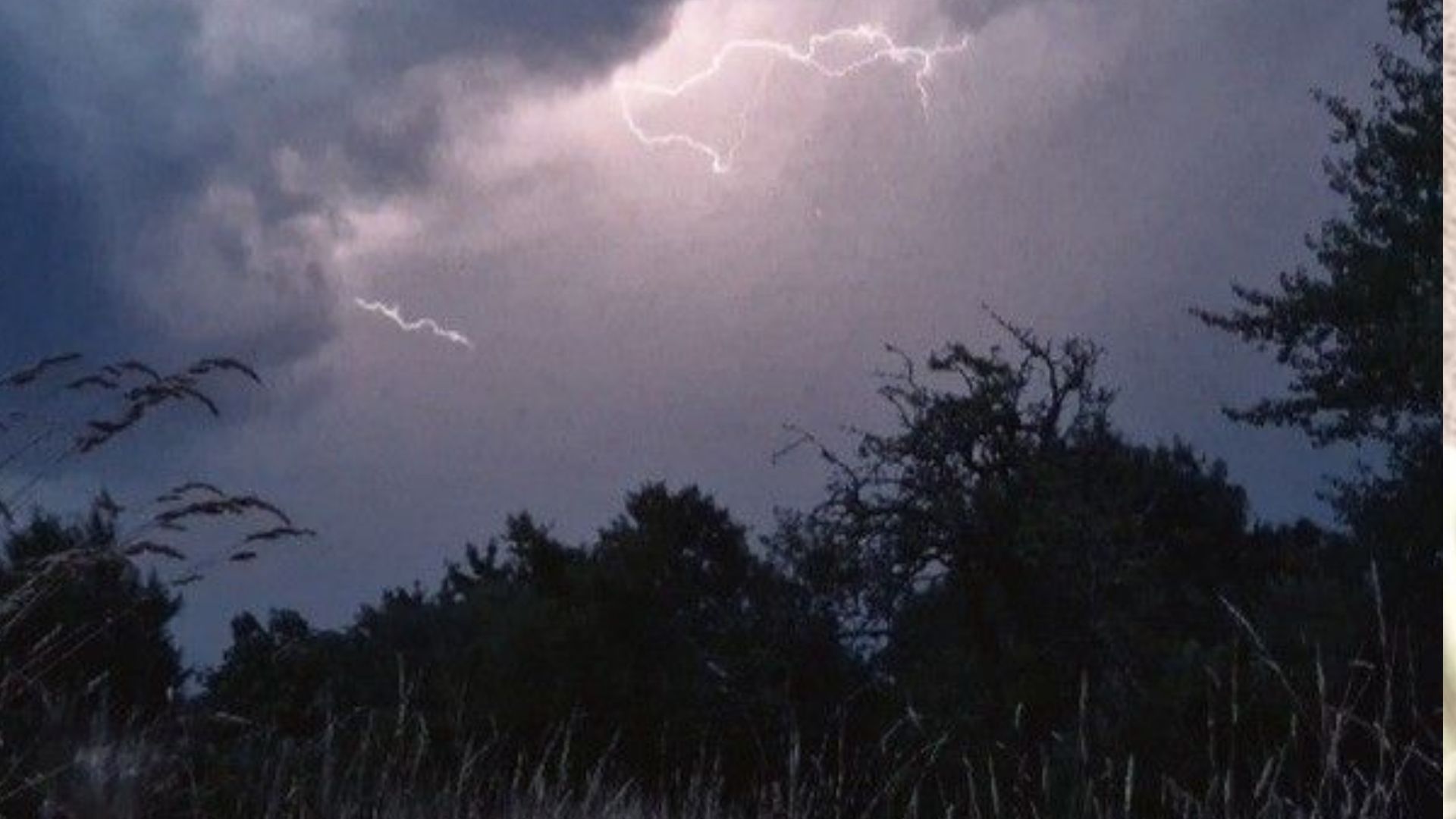 Грози в Україні 19 травня 2025 року - 24 Канал