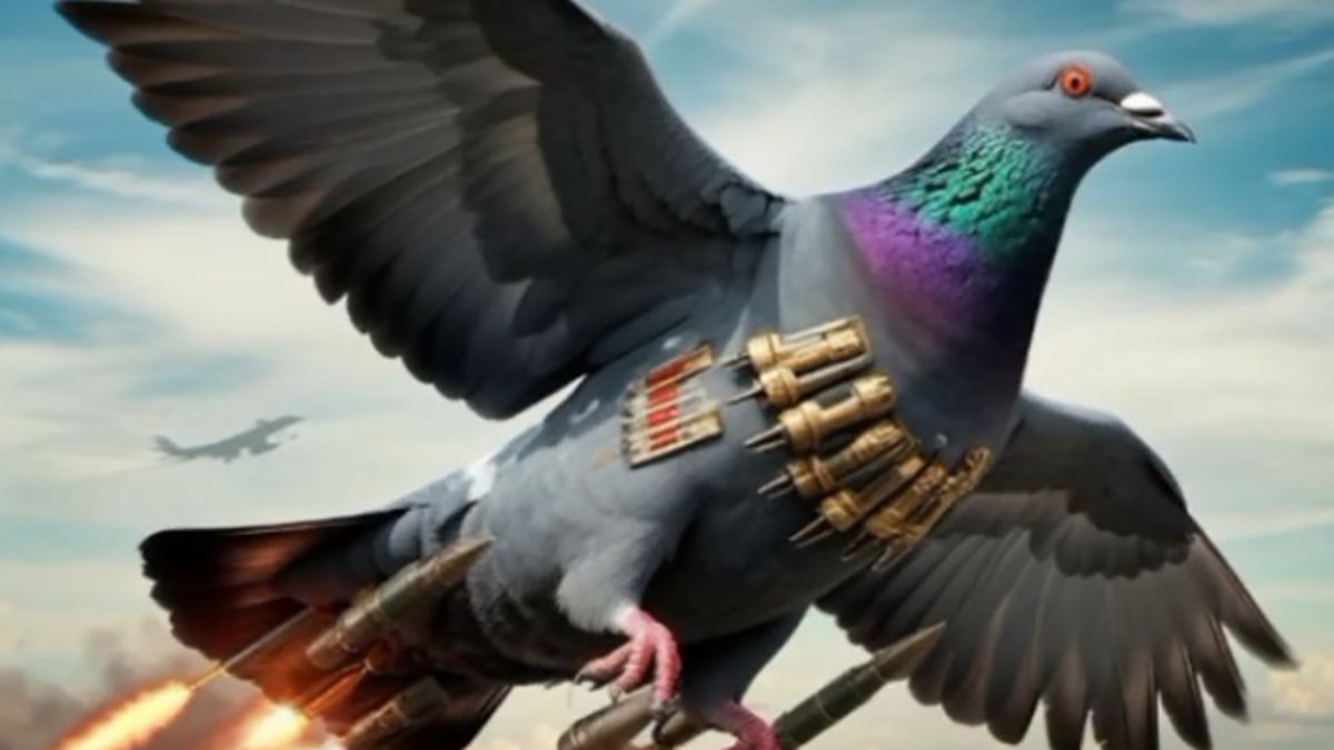 Хто такий Бомбардіро Голубіно та чому він став популярним