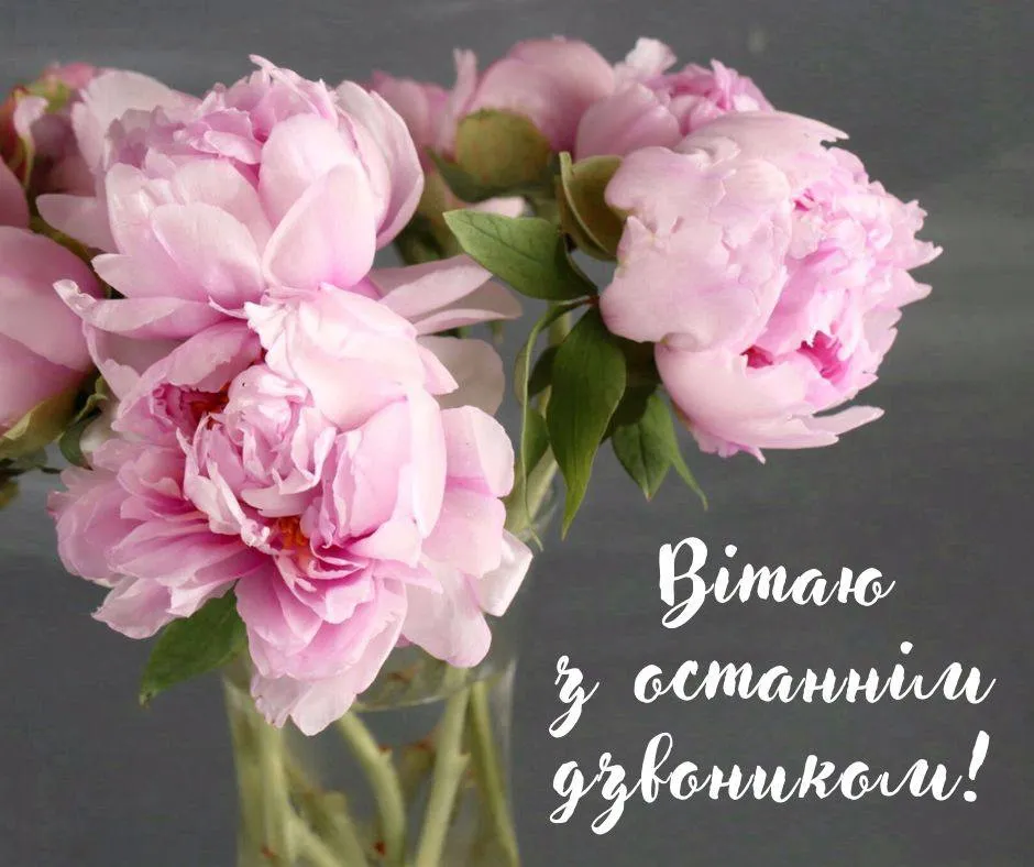 Поздравления с последним звонком 2025 Поздравления с последним звонком 2025