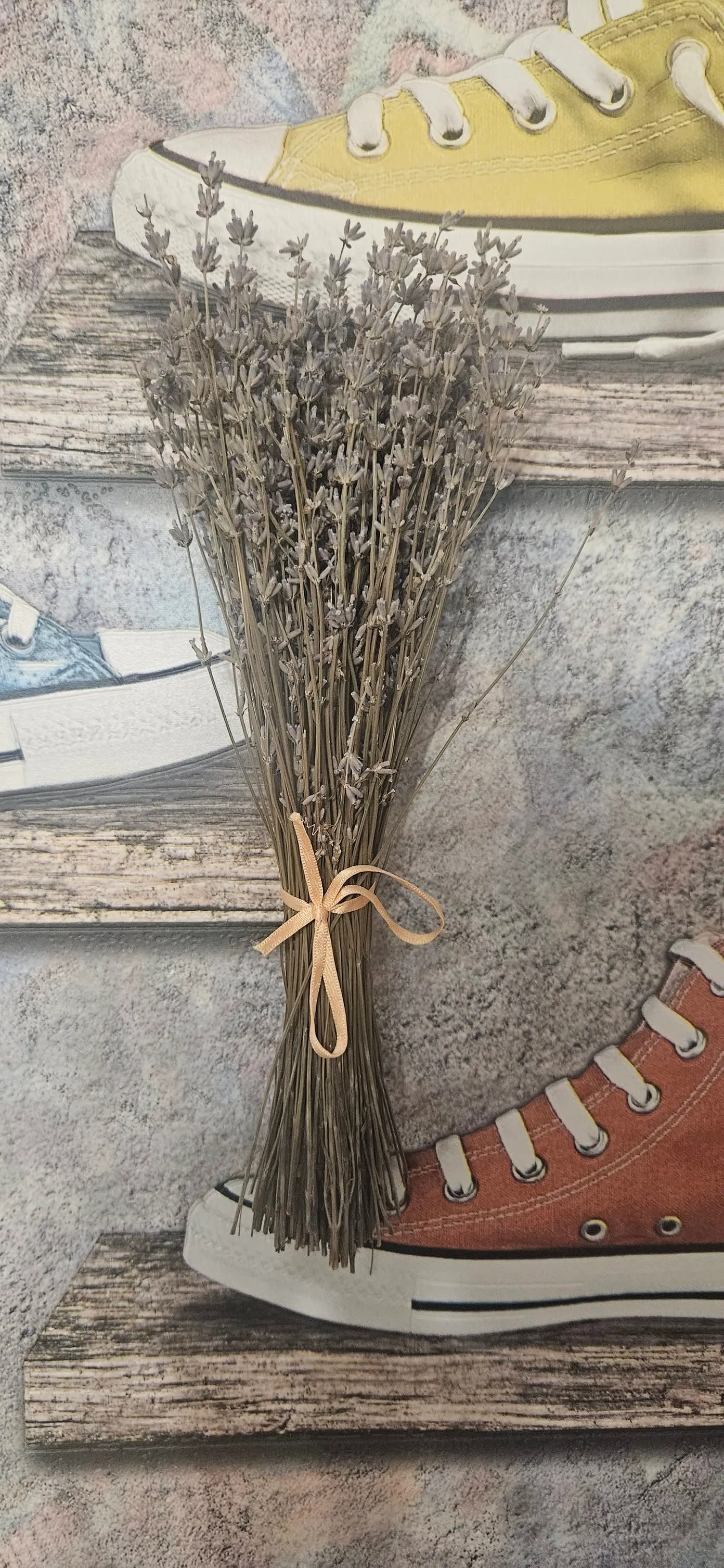 Лаванда з дому Матерухіних Лаванда з дому Матерухіних